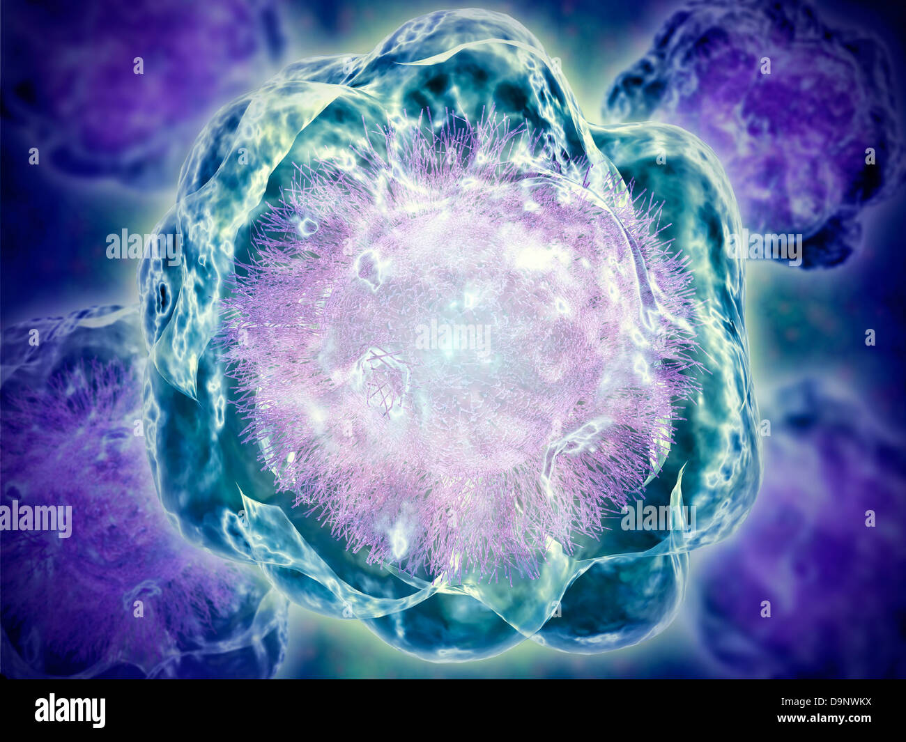 Immagine concettuale del citoscheletro. Foto Stock