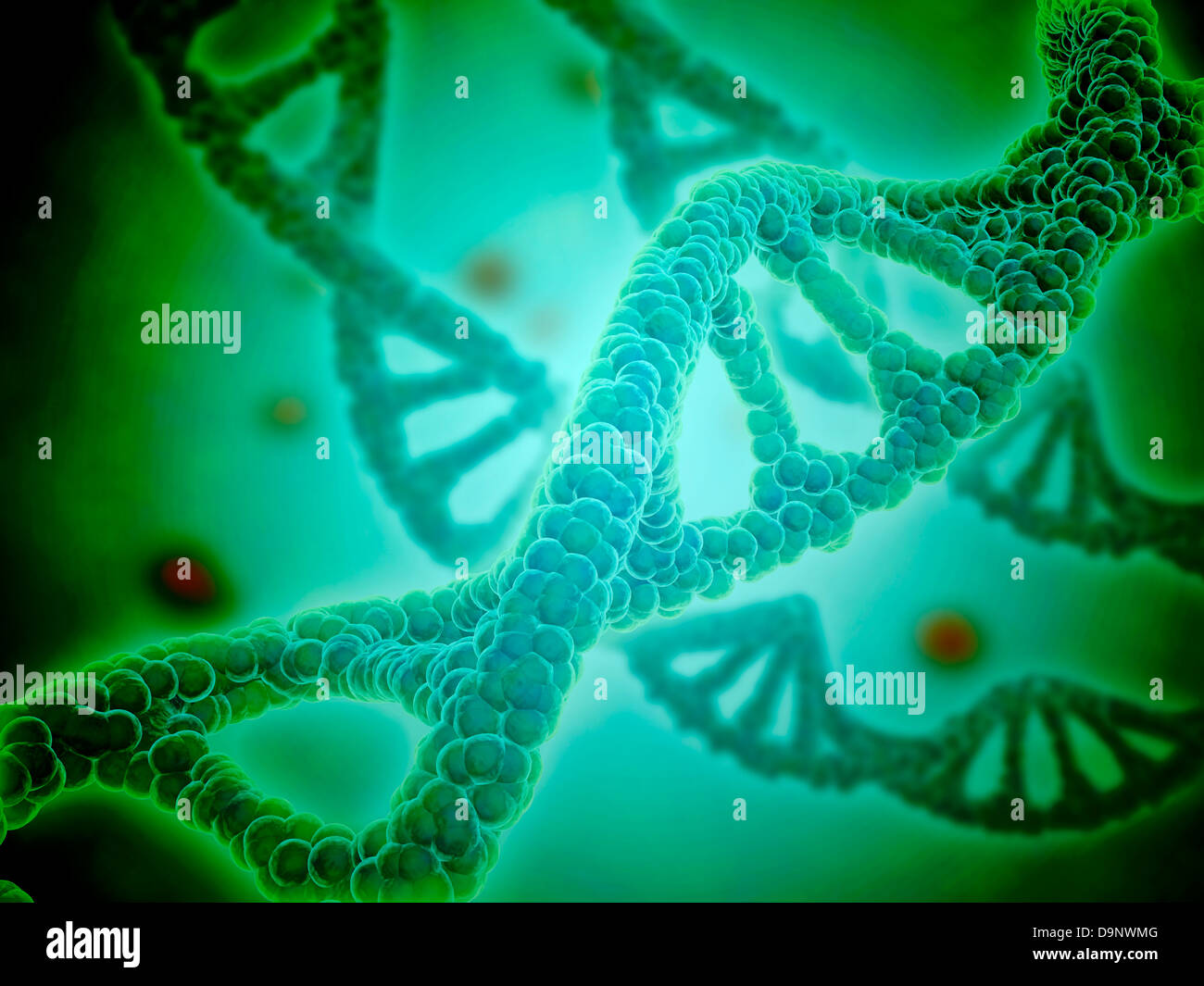 Vista microscopico di DNA. Foto Stock