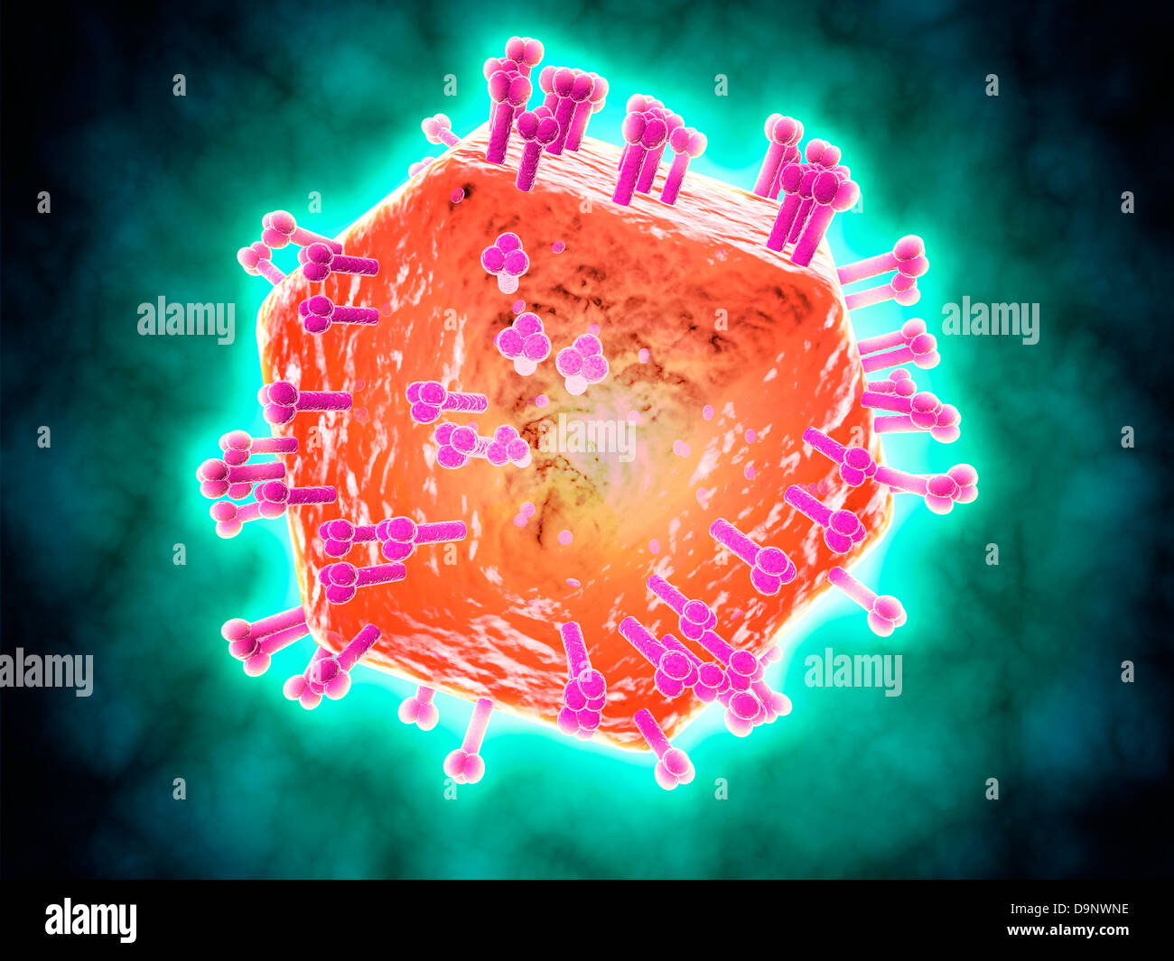 Immagine concettuale del virus HIV. Foto Stock