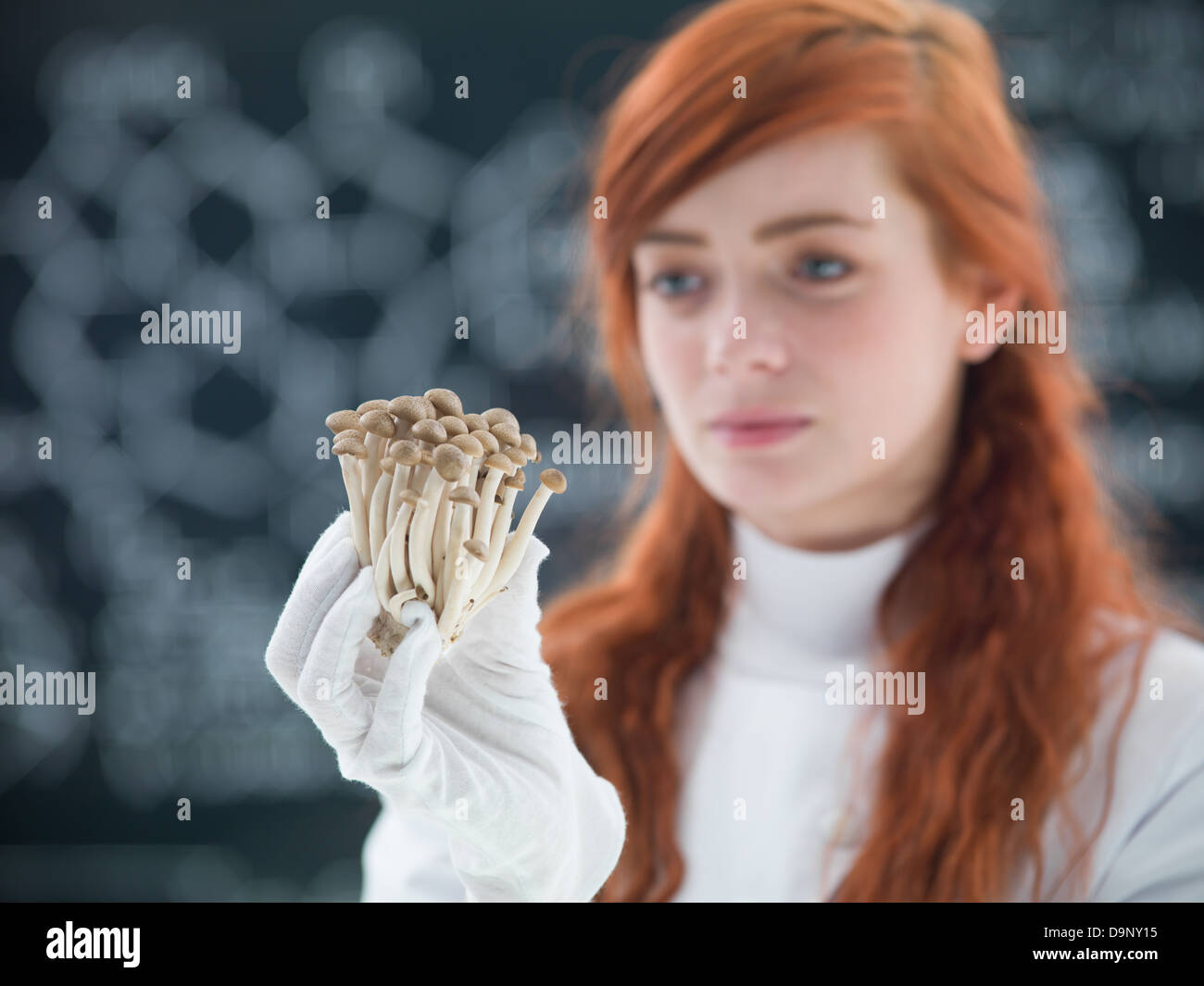 Macro di un mucchio di funghi sostenuto in mani da una faccia preety studente in un laboratorio chemisty con una lavagna sullo sfondo Foto Stock