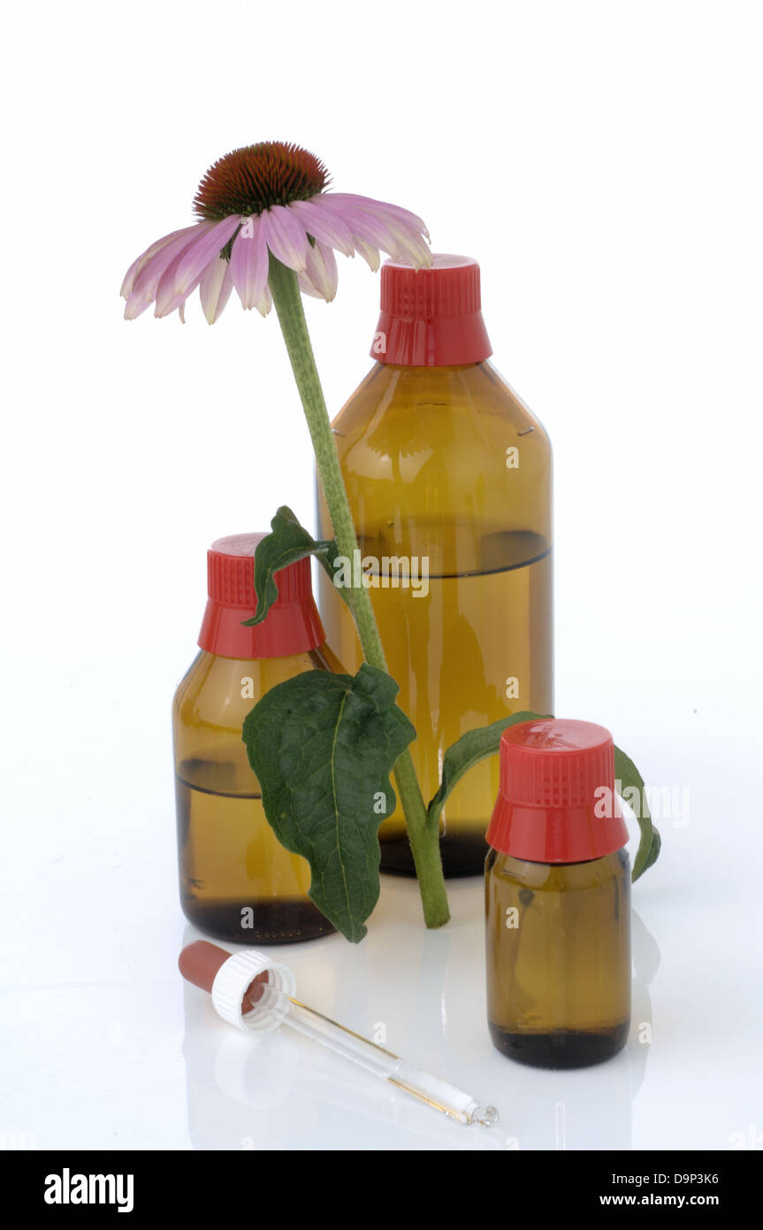 Echinacea based medicine Foto Stock