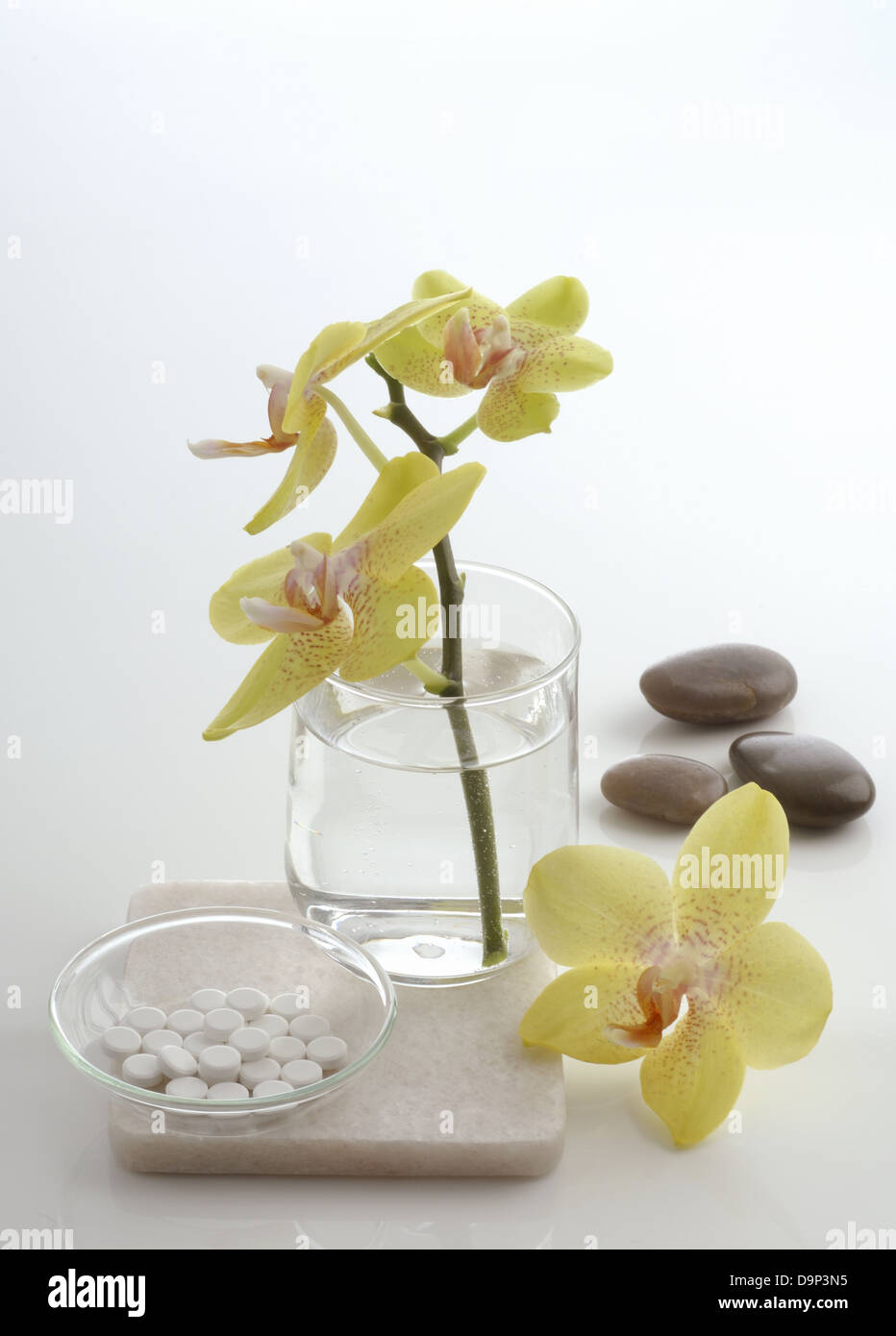 I sali di tessuto e la fioritura di orchidee Foto Stock