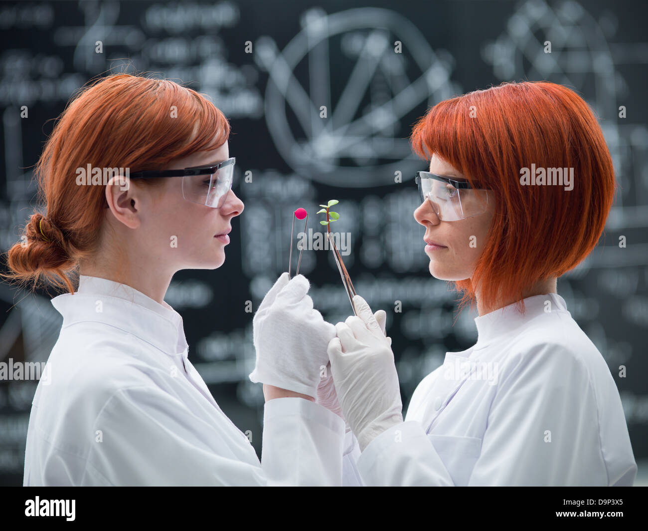 Vista laterale di due donne scienziato in un laboratorio di chimica analisi comparata tra pillole e piante Foto Stock