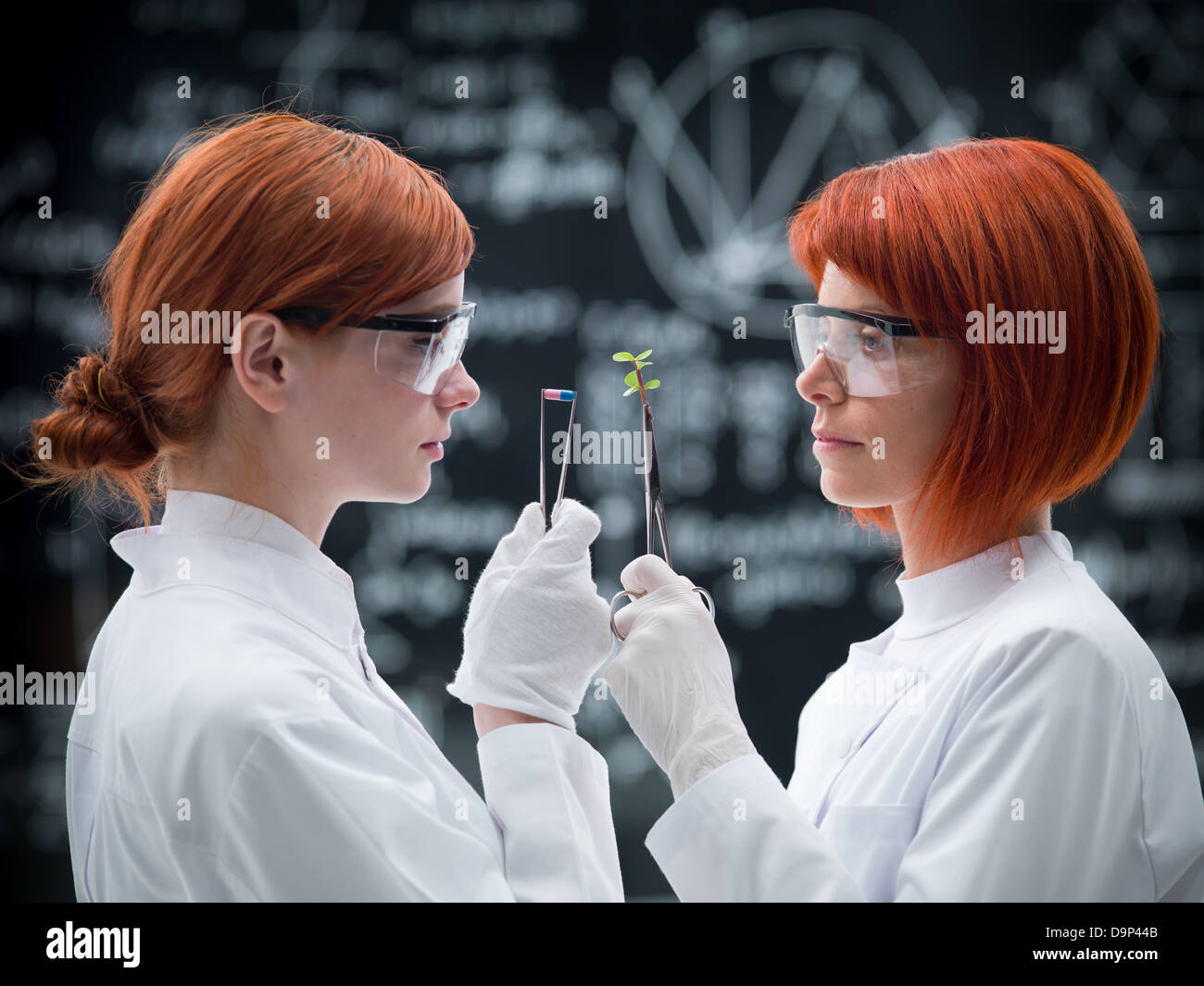 Vista laterale di due donne scienziato in un laboratorio di chimica analisi comparata tra pillole e piante Foto Stock