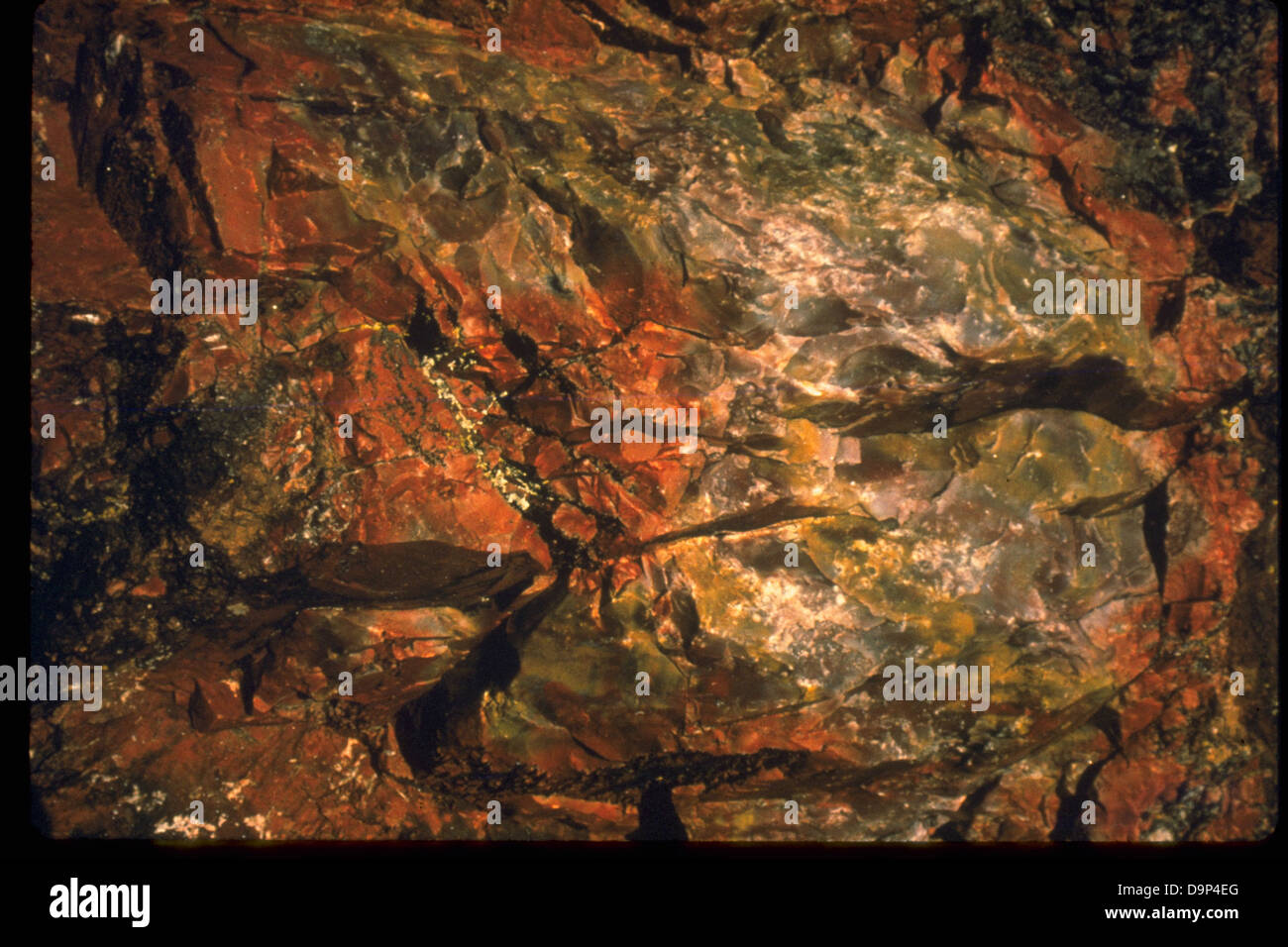 Il Petrified Forest National Park in Arizona è noto per i suoi vasti depositi di legno pietrificato. Il parco offre ai visitatori l'opportunità di esplorare antichi fossili e vivaci paesaggi colorati del deserto dipinto. Foto Stock