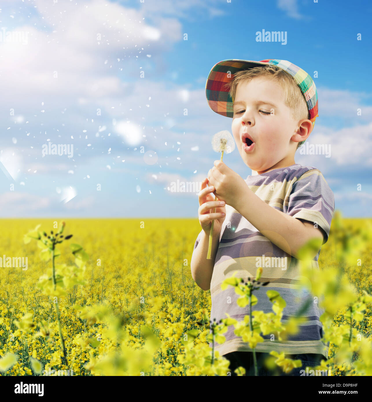 Carino kid giocando il tarassaco sul prato Foto Stock