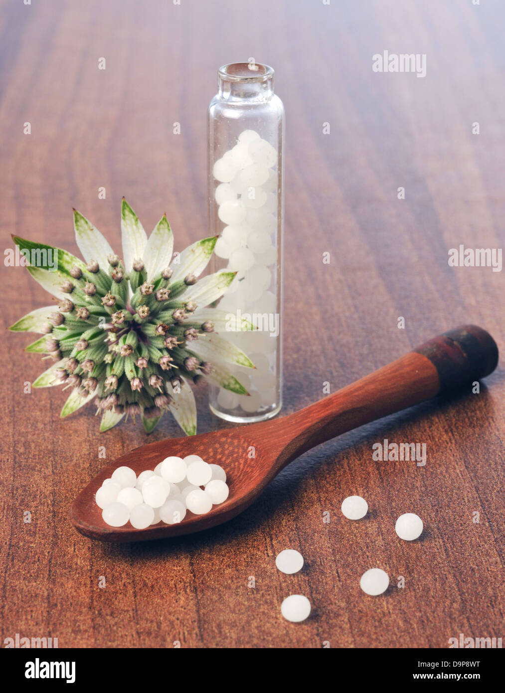 Globuli, blossom e cucchiaio di legno Foto Stock