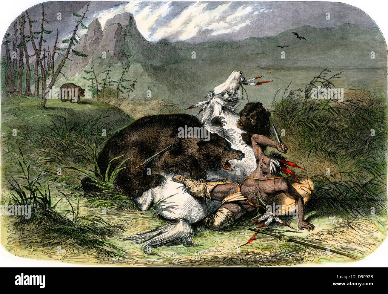 Pawnee indiano e il suo cavallo attaccato da orsi grizzly, 1800s. Colorate a mano la xilografia Foto Stock
