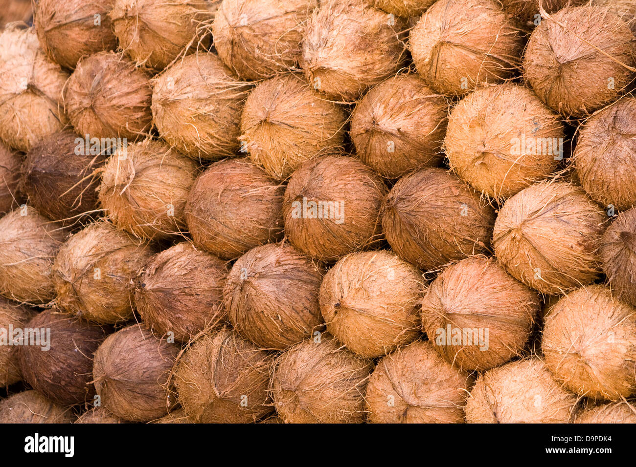 Asia, India, Karnataka, Mysore, Mercato Devaraja, noci di cocco Foto Stock