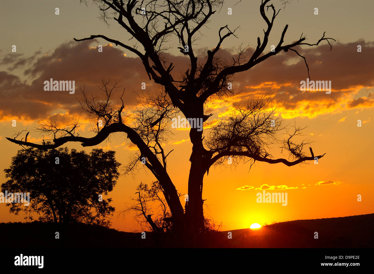 Il tramonto. Sud Africa Foto Stock