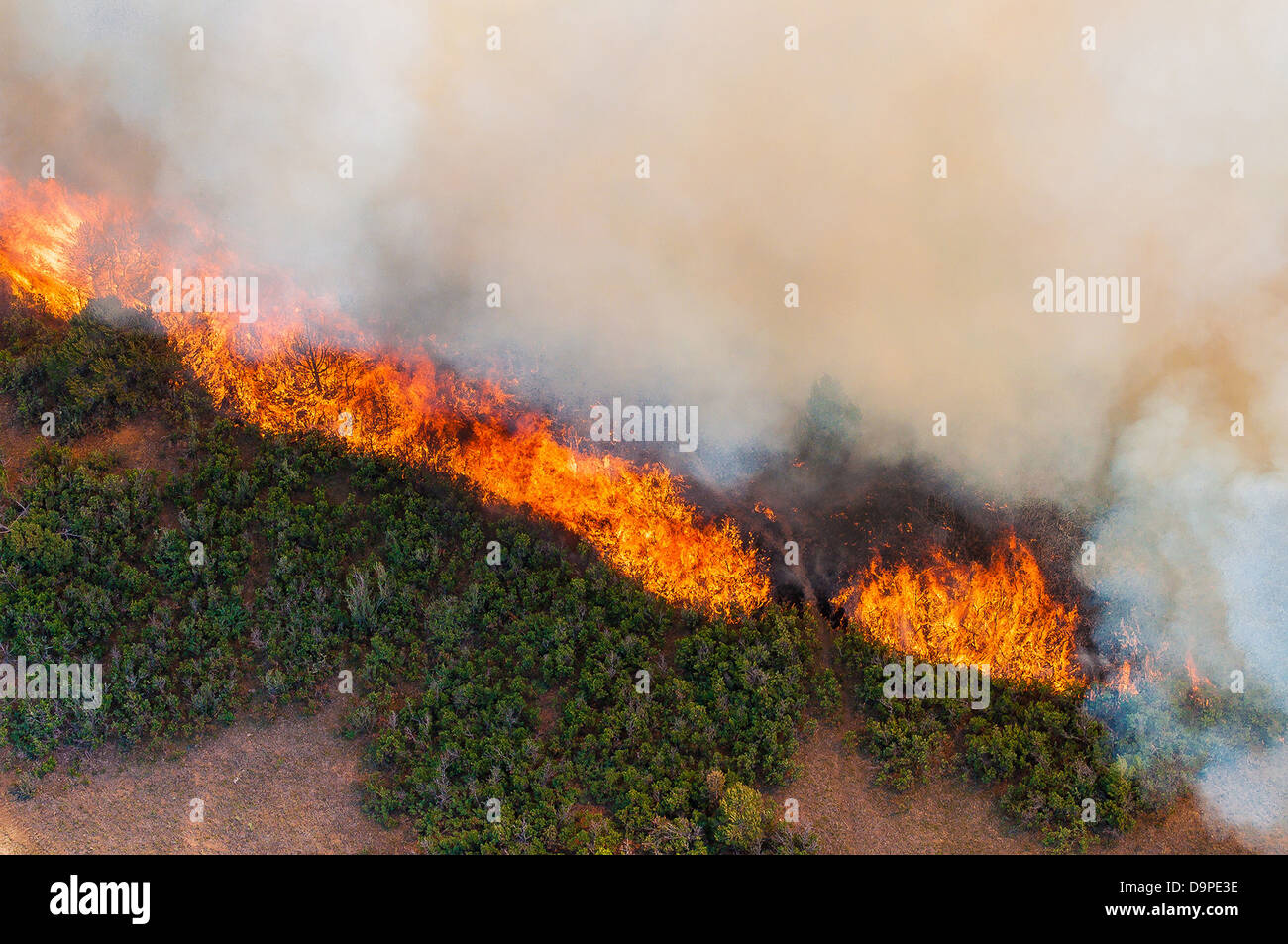 Picco est Fire wildfire infuria Giugno 21, 2013 vicino La Veta, CO. Il fuoco ha cominciato dopo un alleggerimento sciopero ha bruciato 13.000 acri di foresta. Foto Stock