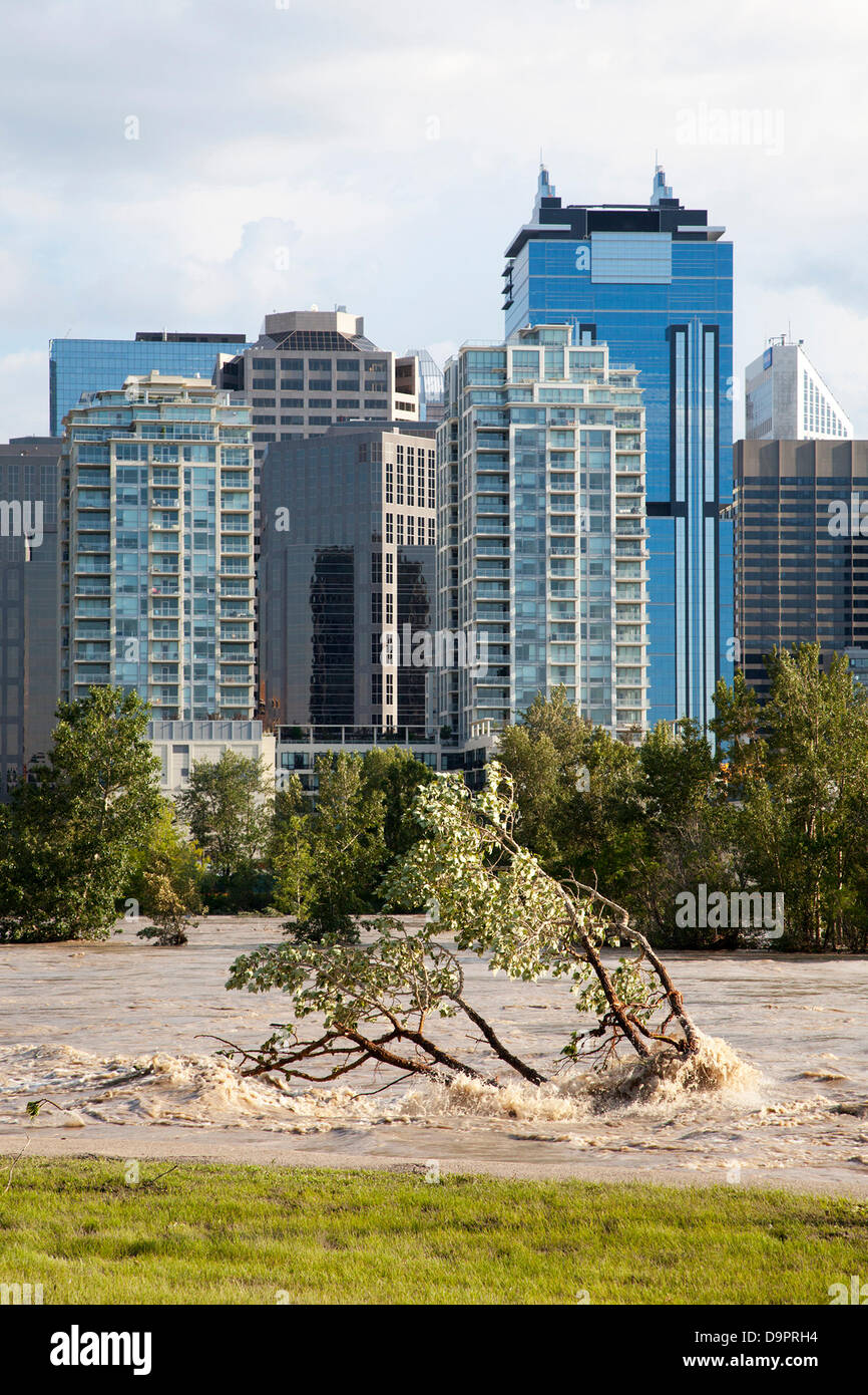 Sabato, Giugno 22, 2013. L'acqua continua a traboccare le rive del Fiume Bow il giorno dopo il picco i livelli di alluvione nel fulcro del centro cittadino di Calgary, Alberta, Canada. Le forti piogge hanno causato inondazioni estreme in città e ha portato alla dichiarazione dello stato di emergenza, l'EVACUAZIONE OBBLIGATORIA gli ordini per il centro cittadino di core e molte aree residenziali, le chiusure della strada e interruzioni di alimentazione. Foto Stock