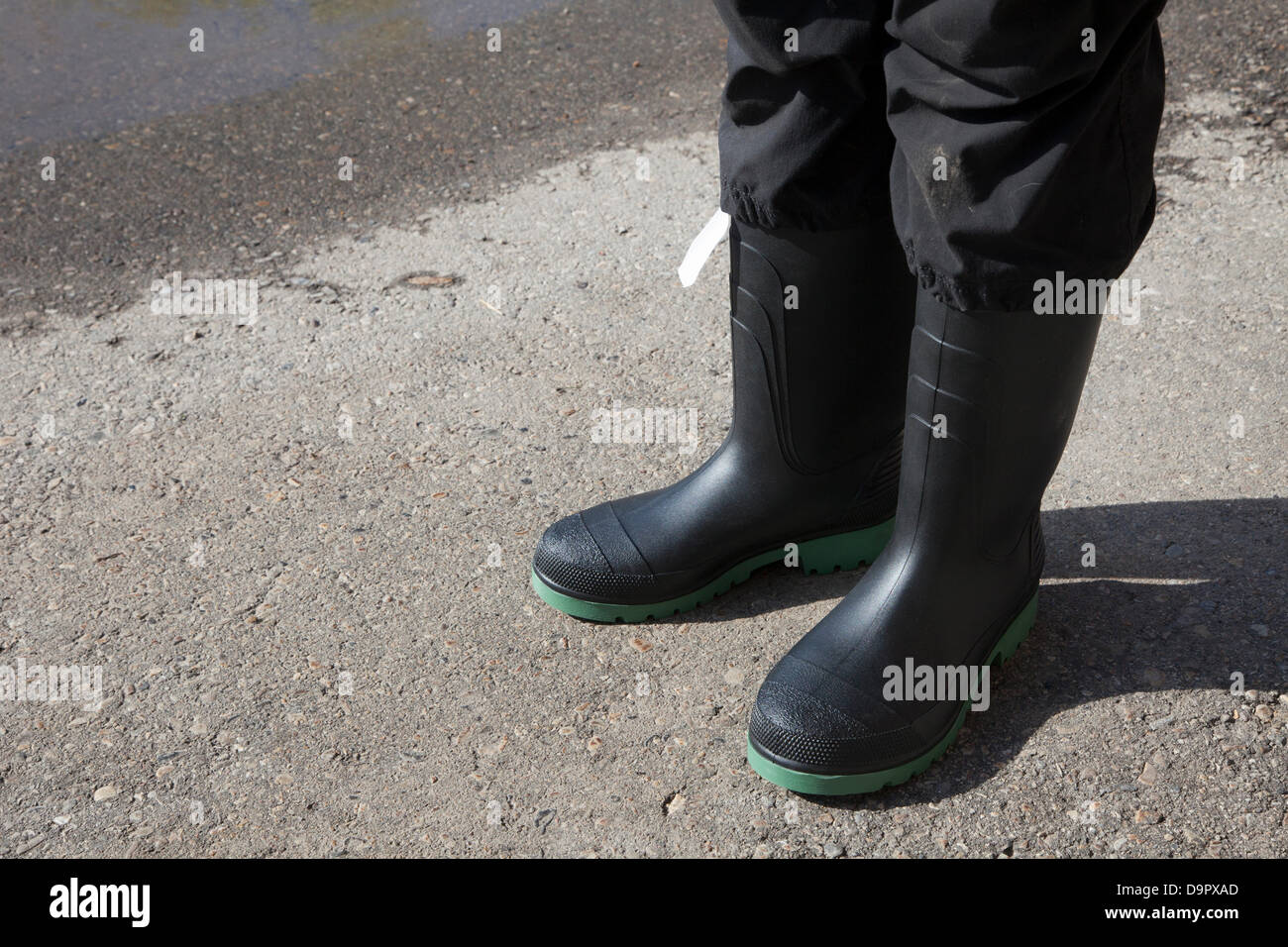 Stivali da pioggia striati immagini e fotografie stock ad alta risoluzione  - Alamy