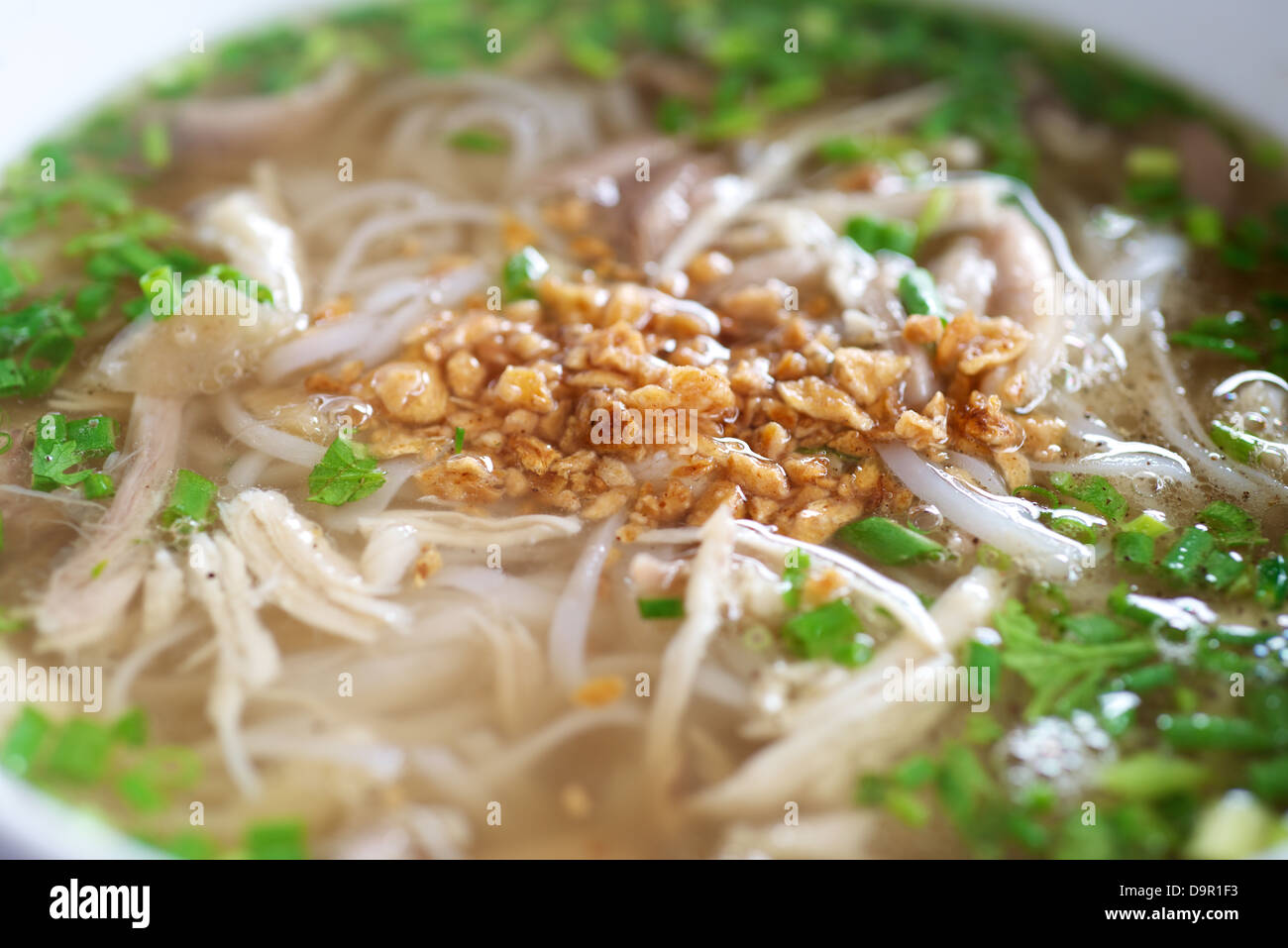 Delizioso pollo vietnamita Pho zuppa di riso a base di noodle Foto Stock