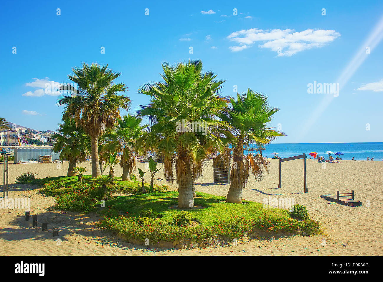 Alberi di palma su una spiaggia di Fuengirola, Spagna Foto Stock