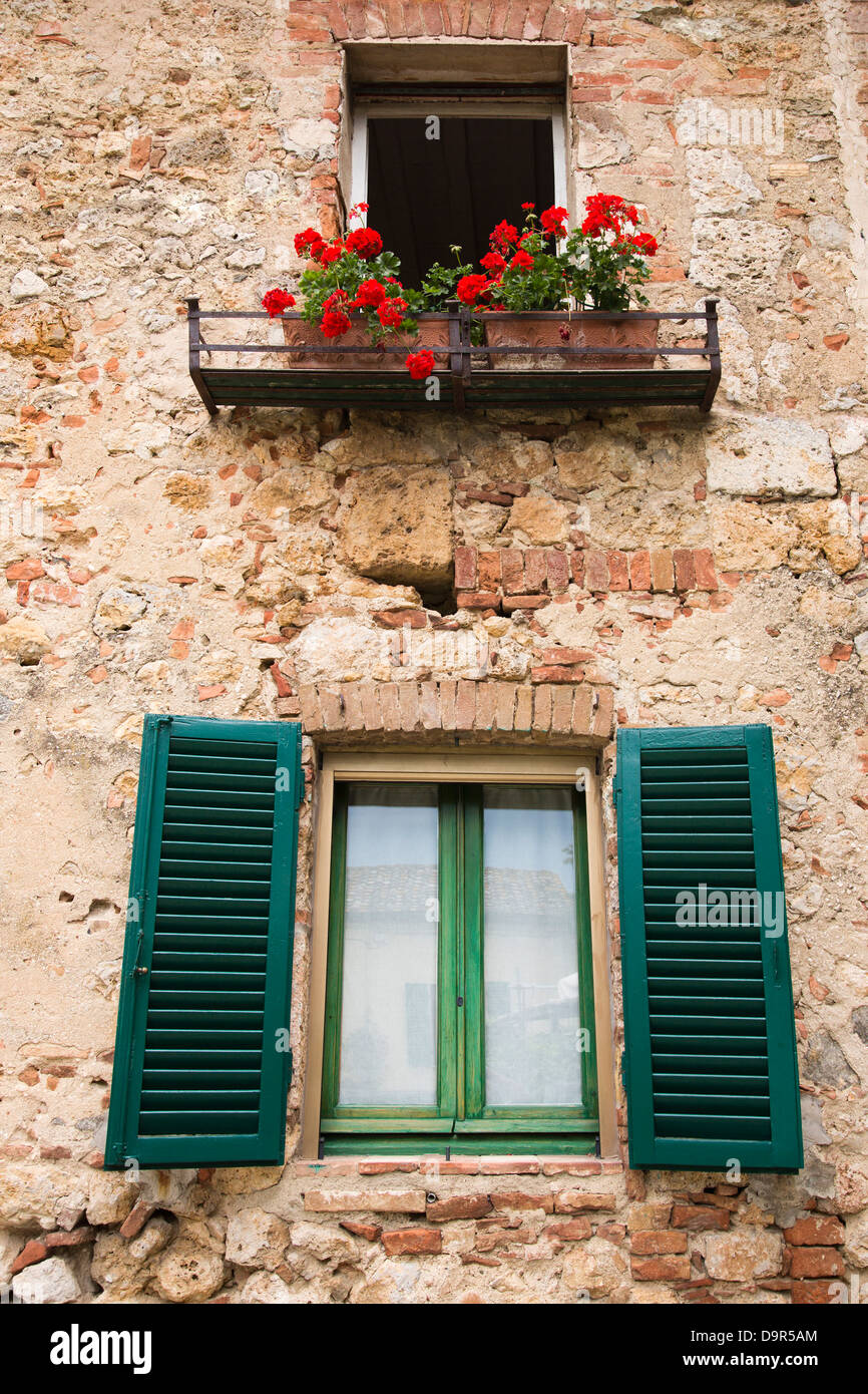 Fiori sul display sul balcone di un edificio, Venezia, Veneto, Italia Foto Stock