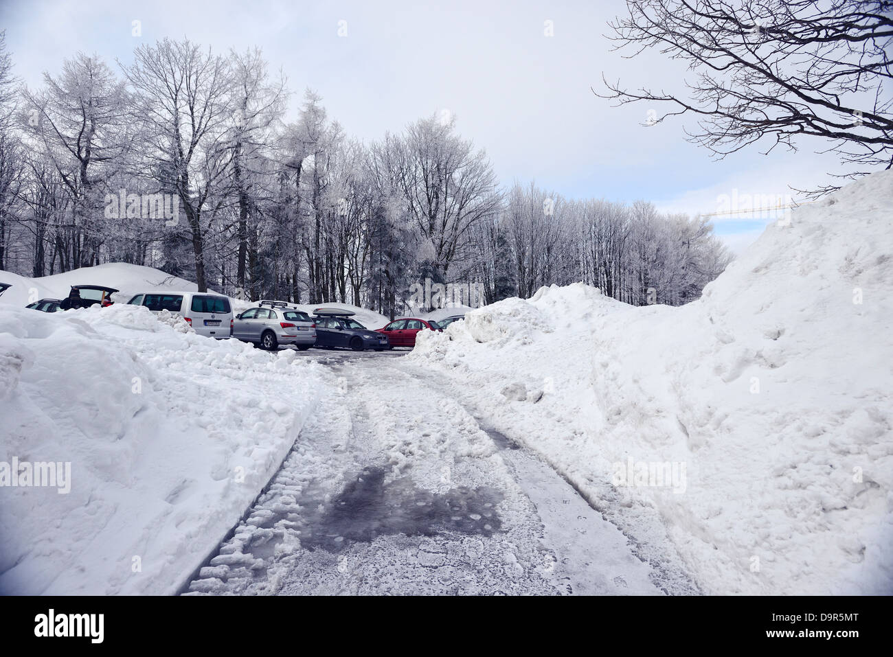 Inverno strada in una stazione sciistica in una nebbiosa freddo giorno Foto Stock