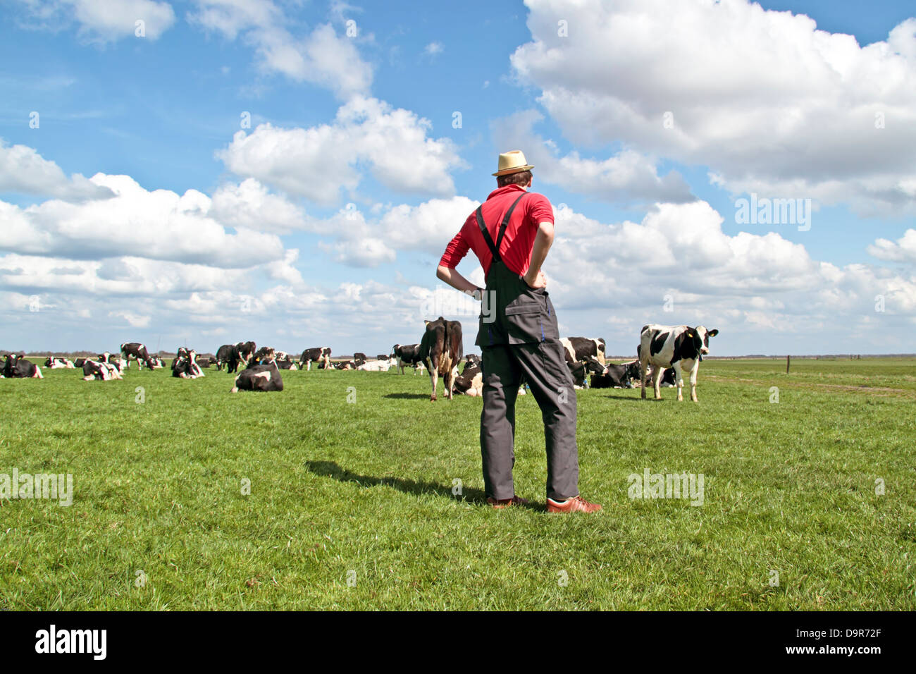 Agricoltore guardando al suo mucche in campagna dai Paesi Bassi Foto Stock