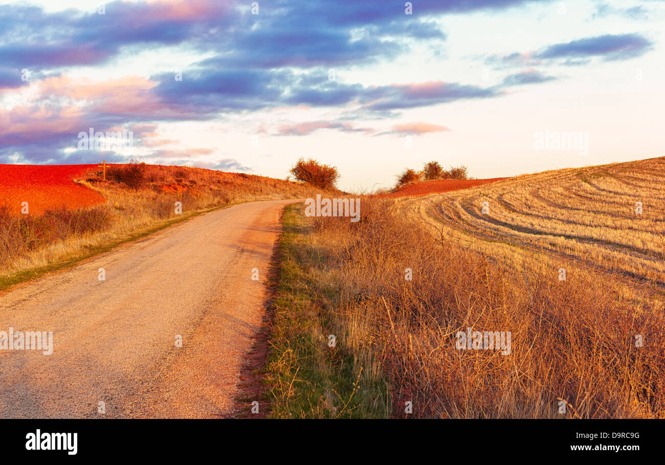 Paesaggio rurale. A nord-ovest della provincia di Guadalajara. Castiglia La Mancha. Spagna Foto Stock