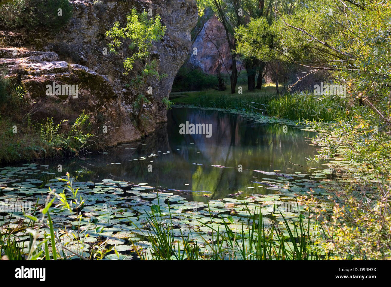 Cañon del Rio Lobos Parco Naturale . Soria, Provincia di Castiglia e Leon, Spagna, Europa. Foto Stock