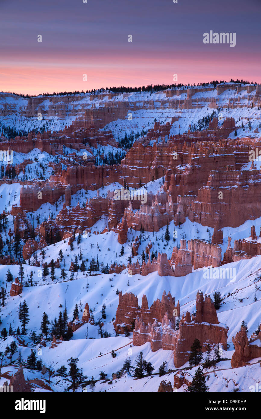 Hoodoos e Anfiteatro di Bryce Canyon dello Utah, Stati Uniti d'America Foto Stock