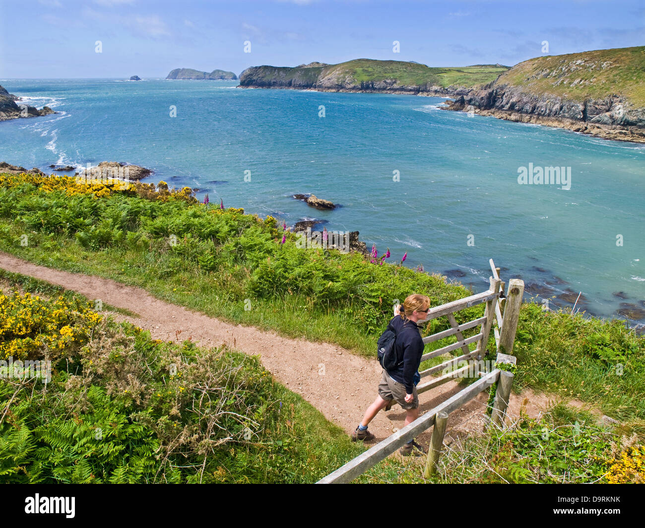 Una femmina di walker per Il Pembrokeshire Coast Path vicino a St Davids Foto Stock