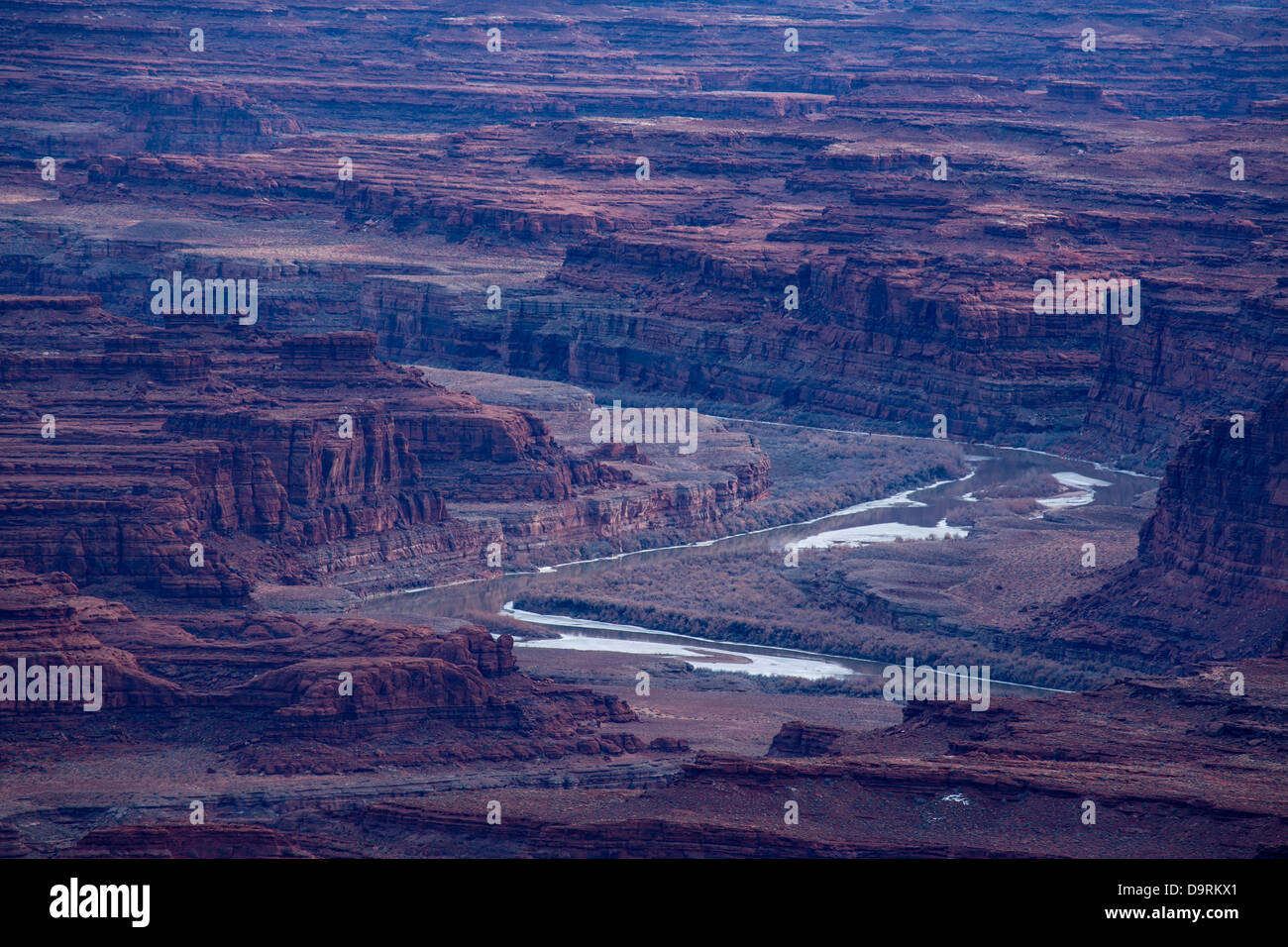 La Valle di Colorado da Island in the Sky, Canyonlands, Utah, Stati Uniti d'America Foto Stock