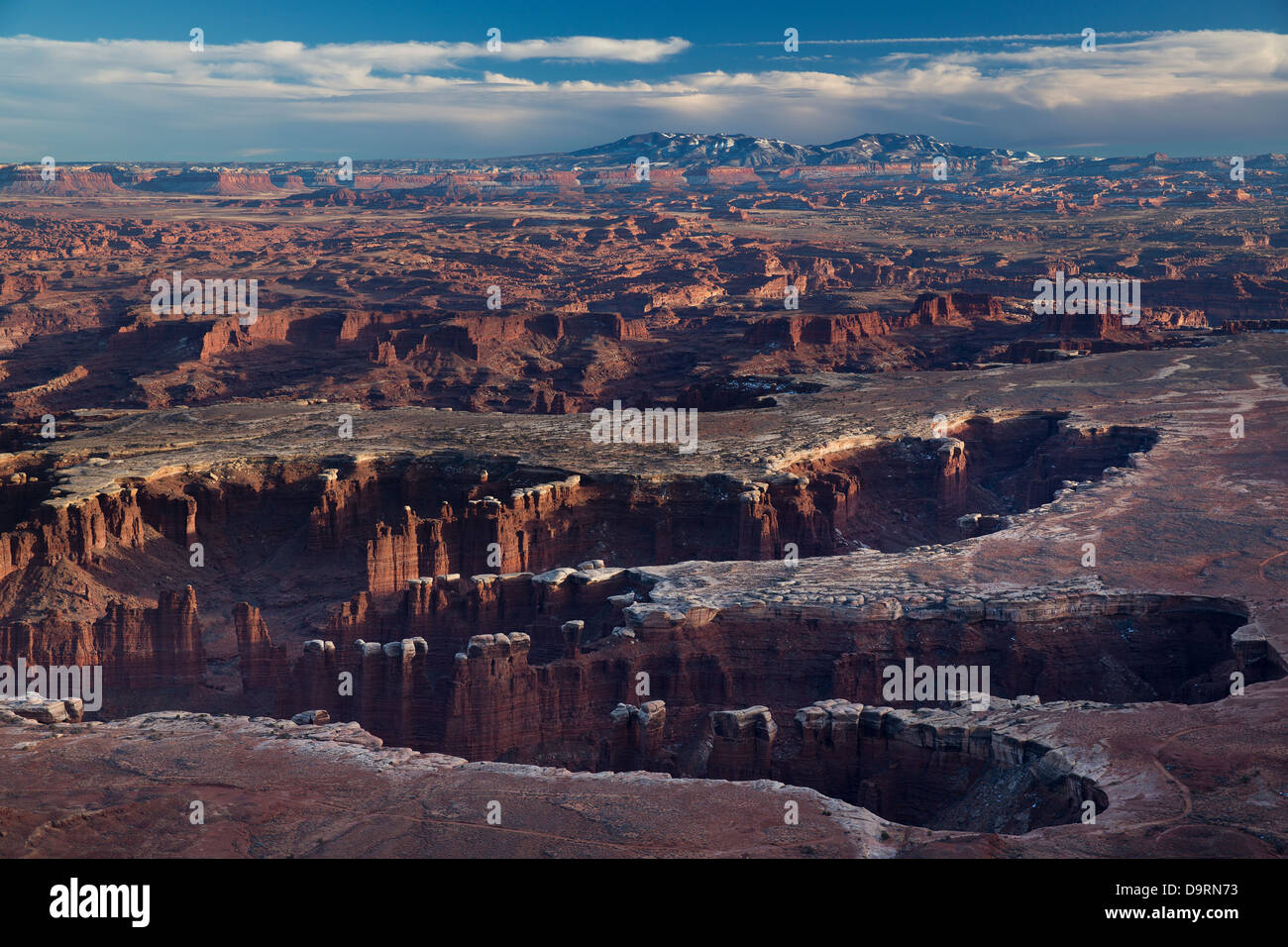 Canyonlands dall'isola nel cielo, Utah, Stati Uniti d'America Foto Stock
