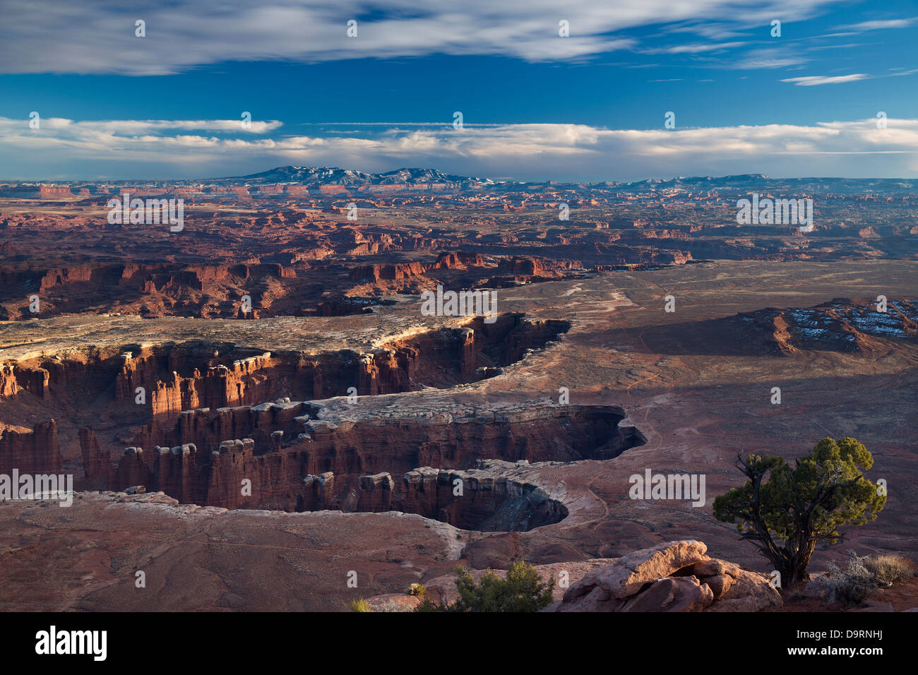 Valle del Colorado e Canyonlands dall'isola nel cielo, Utah, Foto Stock