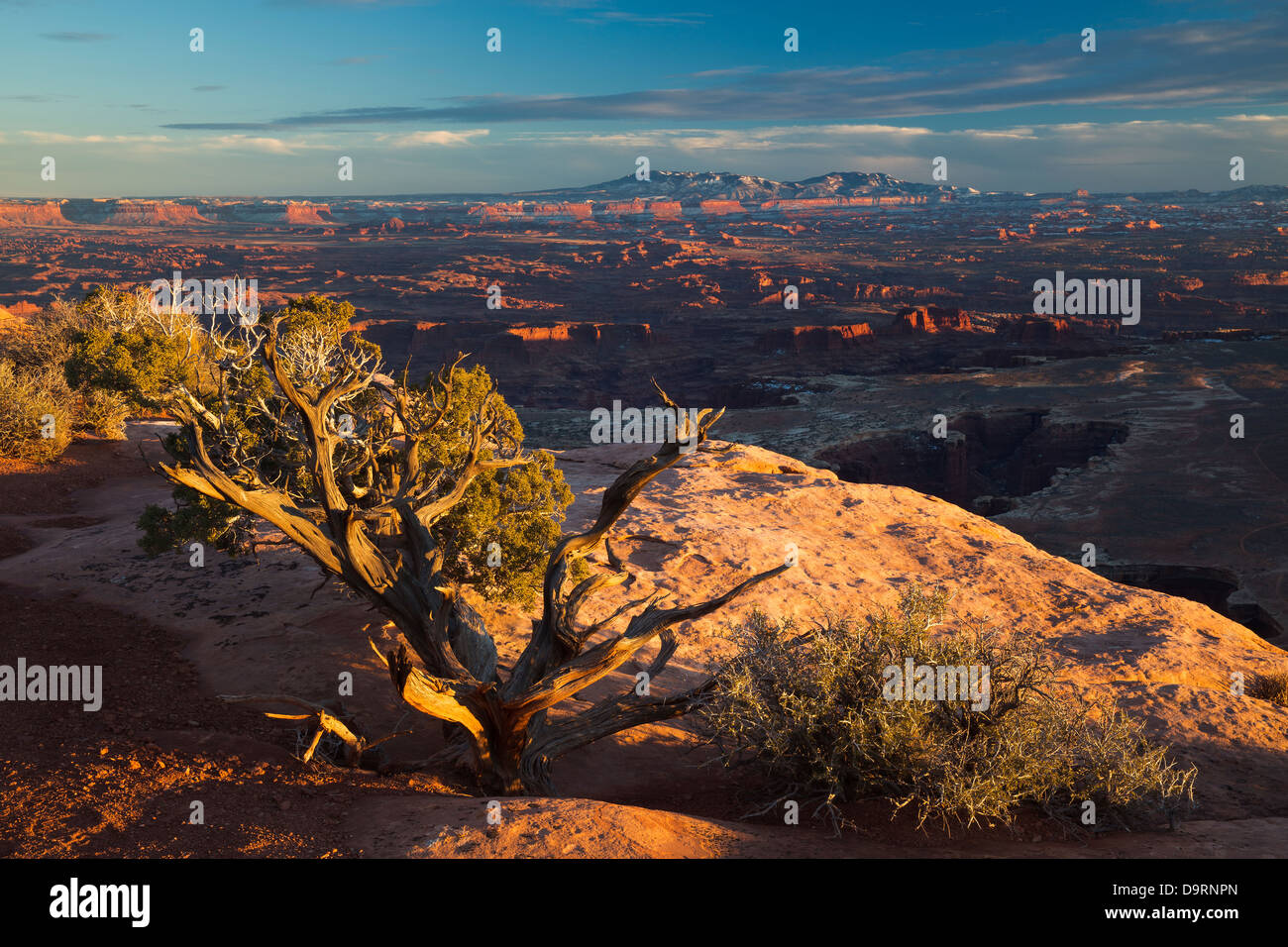 Canyonlands dall'isola nel cielo, Utah, Stati Uniti d'America Foto Stock