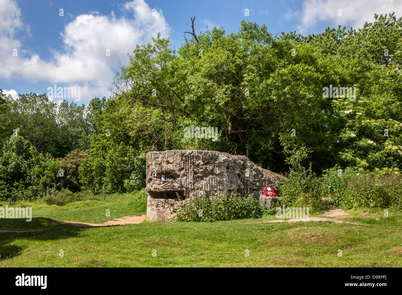 La rovina della Prima Guerra Mondiale una scatola di pillole tedesco / bunker sulla collina 60, WWI sito militare alla Zillebeke, Fiandre Occidentali, Belgio Foto Stock