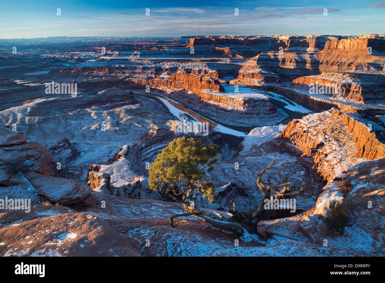 La Valle di Colorado dal Dead Horse Point all'alba, Utah, Stati Uniti d'America Foto Stock