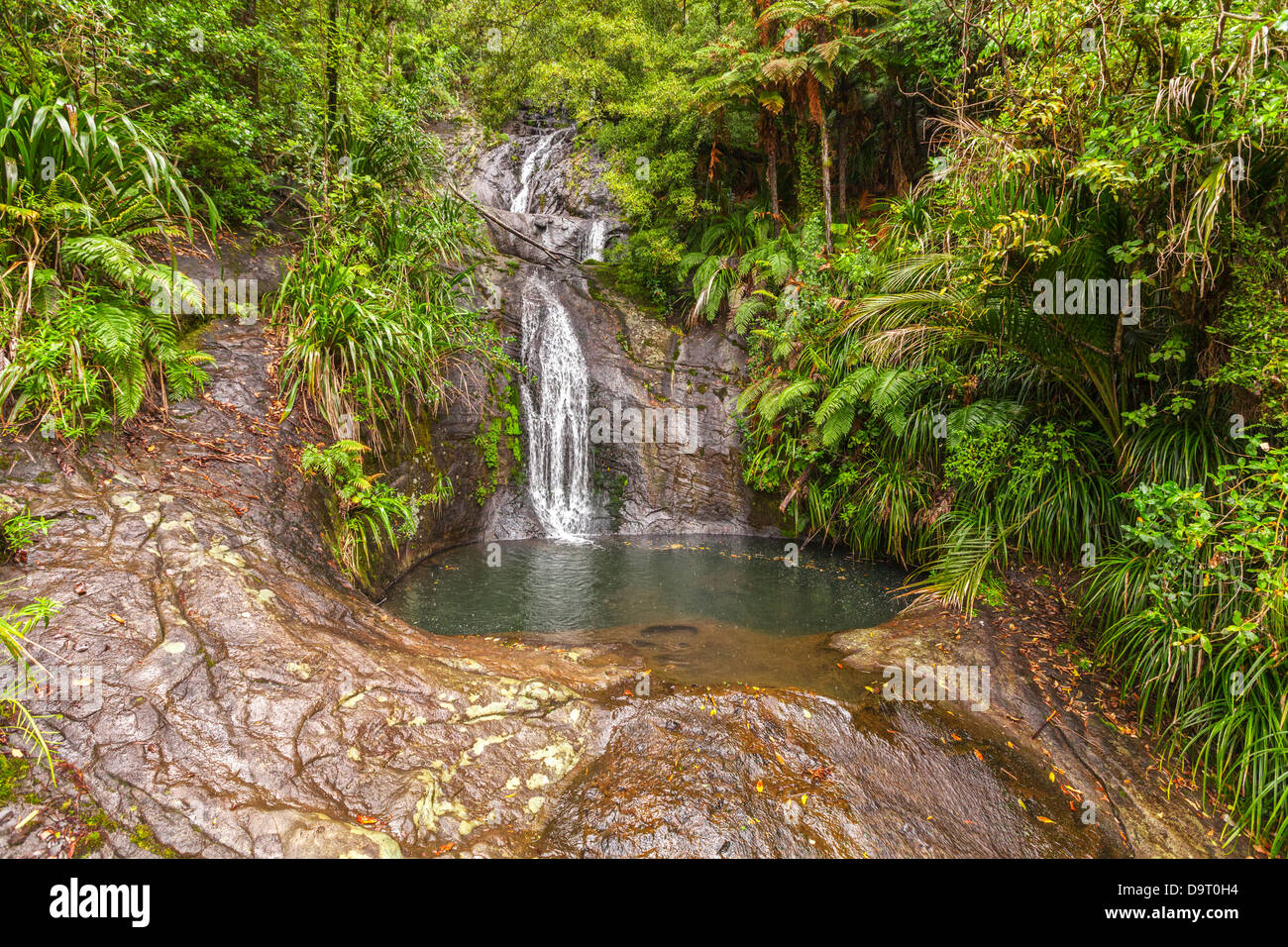 Le Fairy Falls, Waitakere è compreso il parco regionale, regione di Auckland, Nuova Zelanda Foto Stock