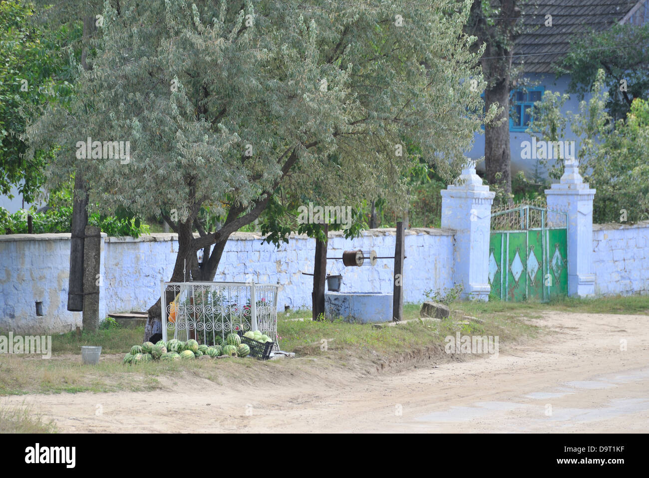 Anguria venditore, villaggio di Branesti, Moldavia Foto Stock