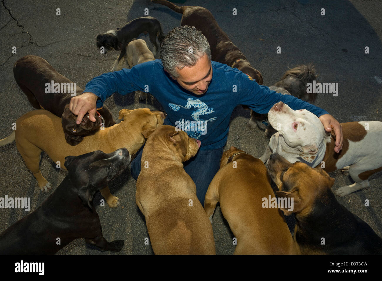LOS ANGELES, CA - Giugno 6: Cesar Millan, meglio conosciuto per il suo Emmy-nominato serie televisiva "Dog Whisperer". Foto Stock