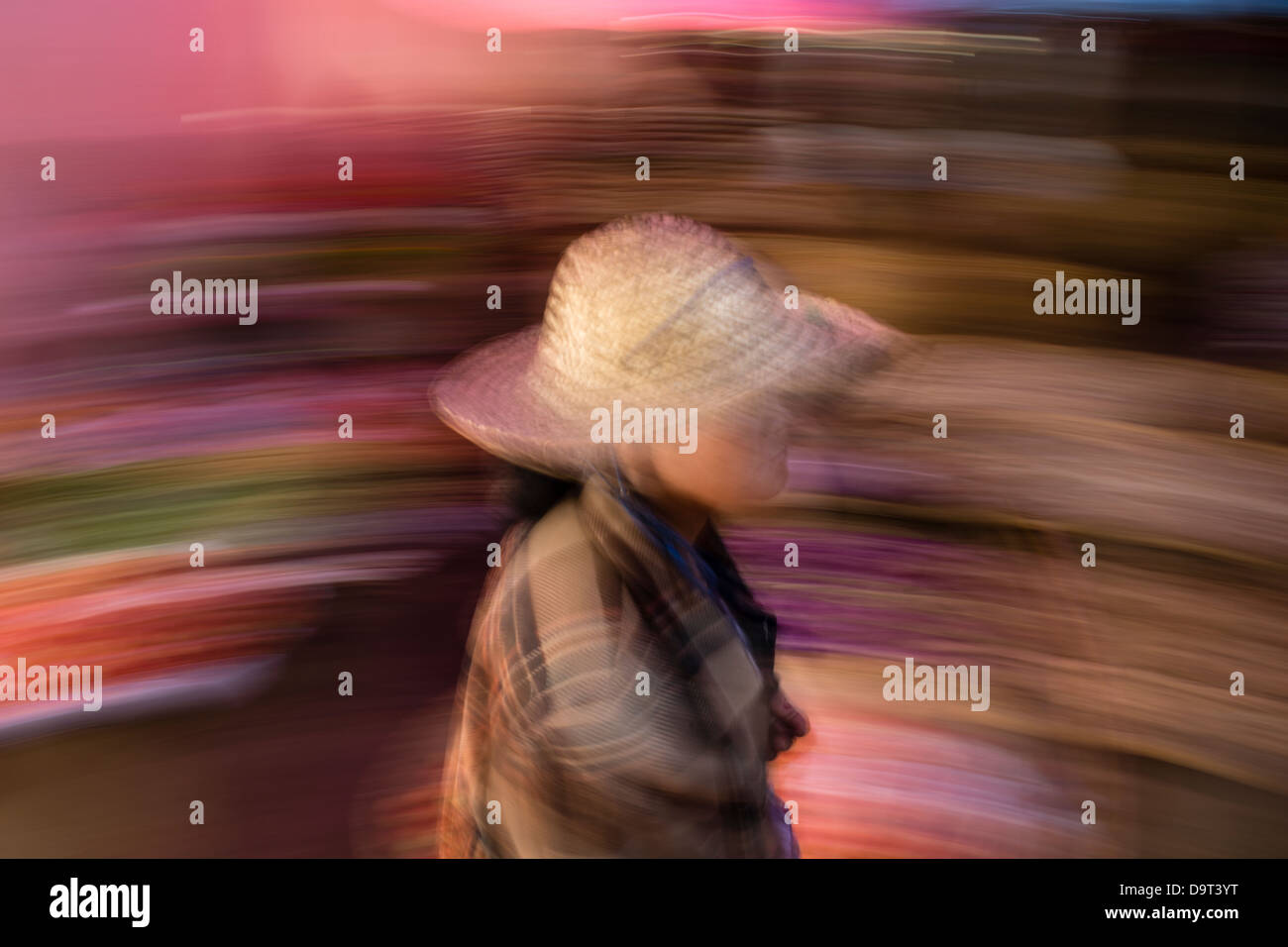 Signora al mercato di Pyin Oo Lwin, Shan Highland, Myanmar (Birmania) Foto Stock