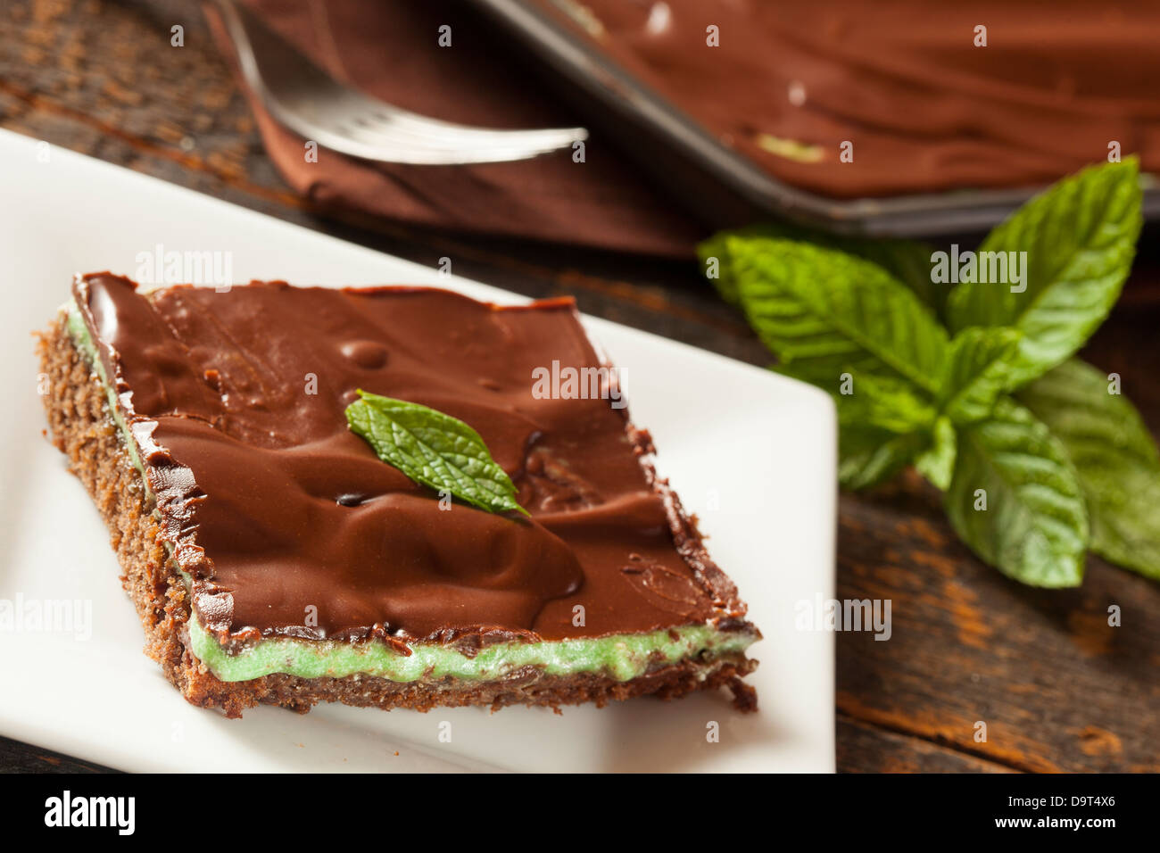 Cioccolato artigianale e menta Brownie contro uno sfondo Foto Stock