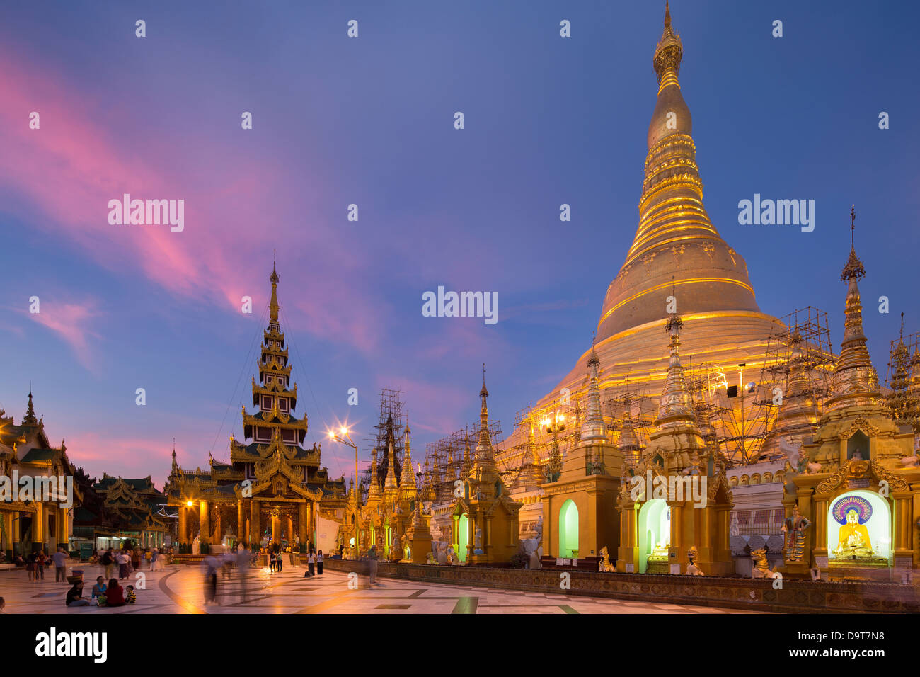Shwedagon pagoda al crepuscolo, Yangon, Myanmar (Birmania) Foto Stock