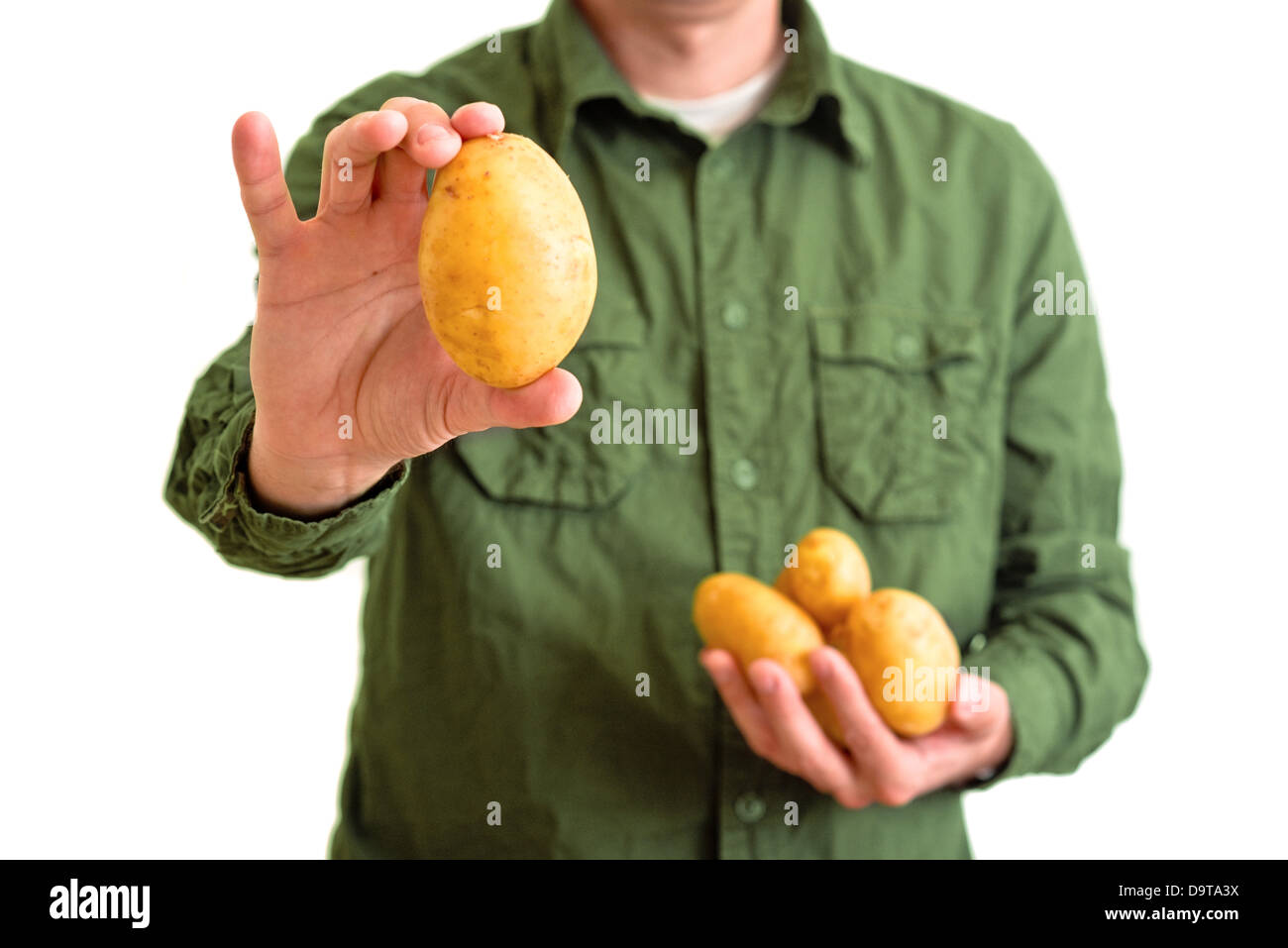 L'agricoltore che detiene la patata gialla in mani su sfondo bianco. Foto Stock
