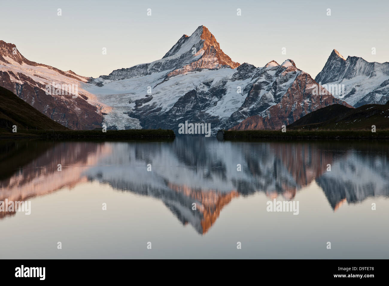 Il Schreckhorn (4,078 m) è una montagna delle Alpi bernesi. È la vetta più alta si trova interamente nel cantone di Berna. Foto Stock