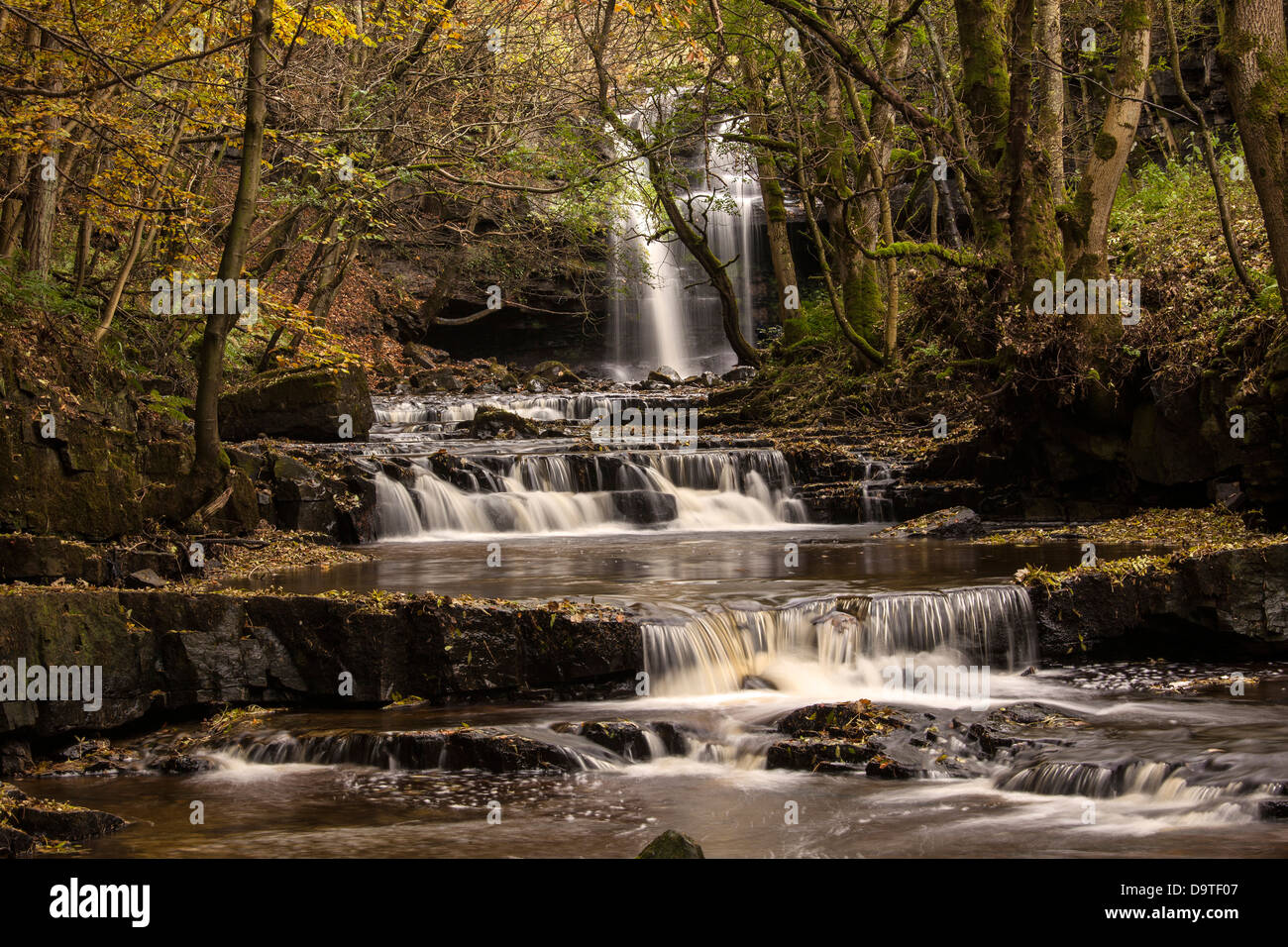 Gibsons Grotta Cascata, Bowlees, Teesdale, County Durham Foto Stock