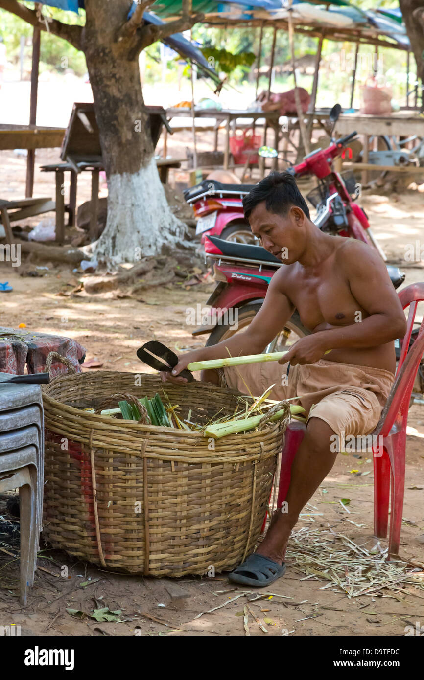 Uomo di taglio della canna da zucchero nel rurale Kampot provincia della Cambogia Foto Stock