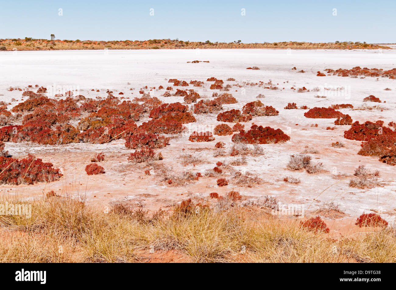 Il lago di delusione, CANNING STOCK ROUTE, Australia occidentale, Australia Foto Stock