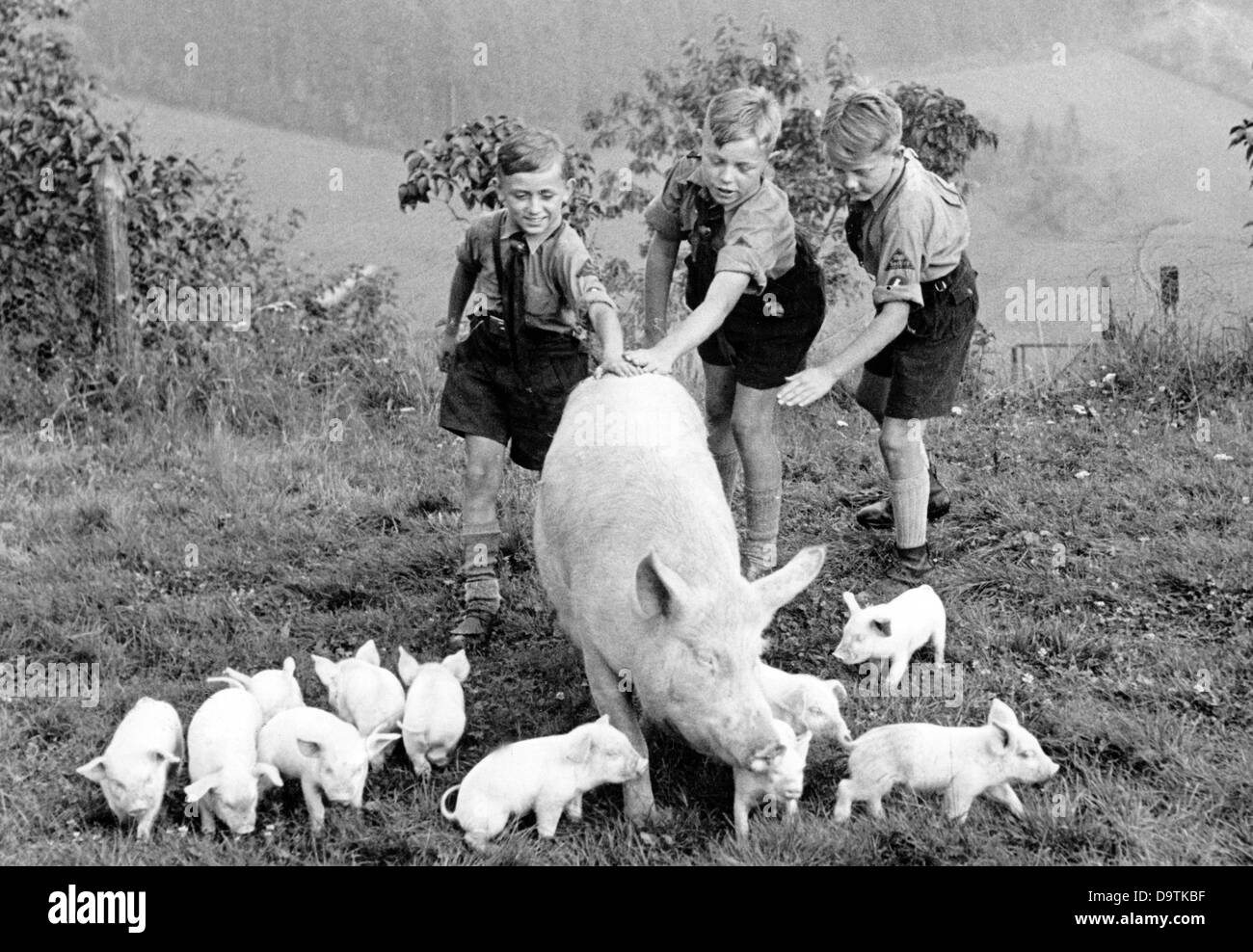 Ragazzi della Gioventù tedesca che accarezzano un maiale con maialini in un ostello della gioventù nella zona di Vogtland, nel luglio 1937. Fotoarchiv für Zeitgeschichte Foto Stock