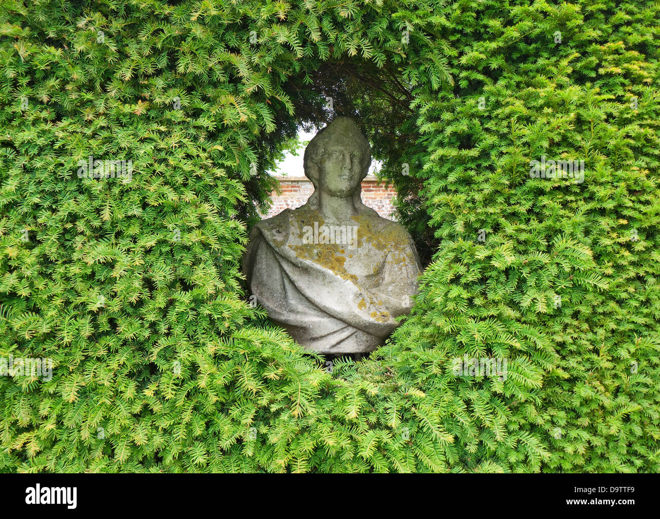 Statua busto in hedge il foro di apertura, Norfolk, Inghilterra Foto Stock