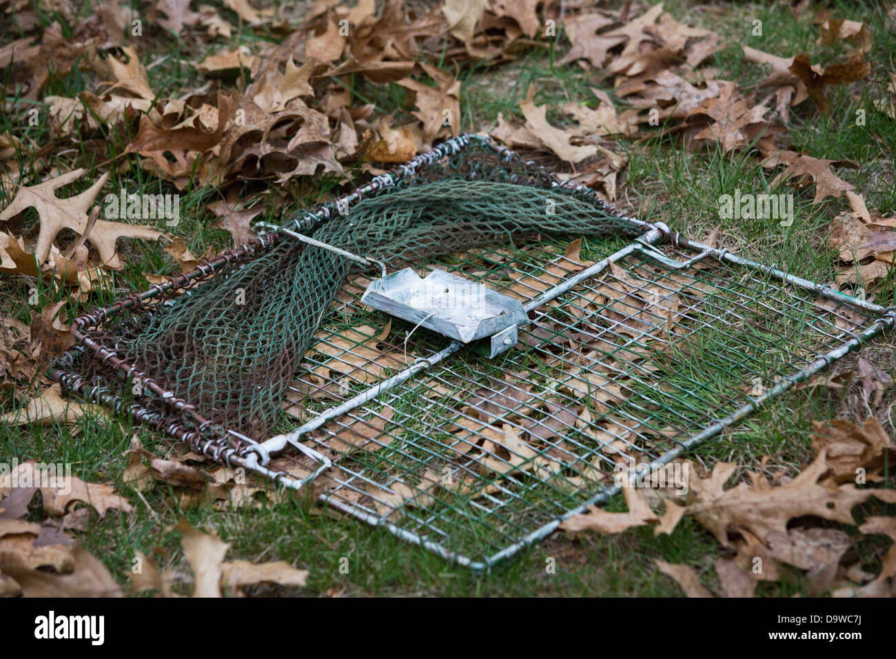 Trappola per uccelli immagini e fotografie stock ad alta risoluzione - Alamy