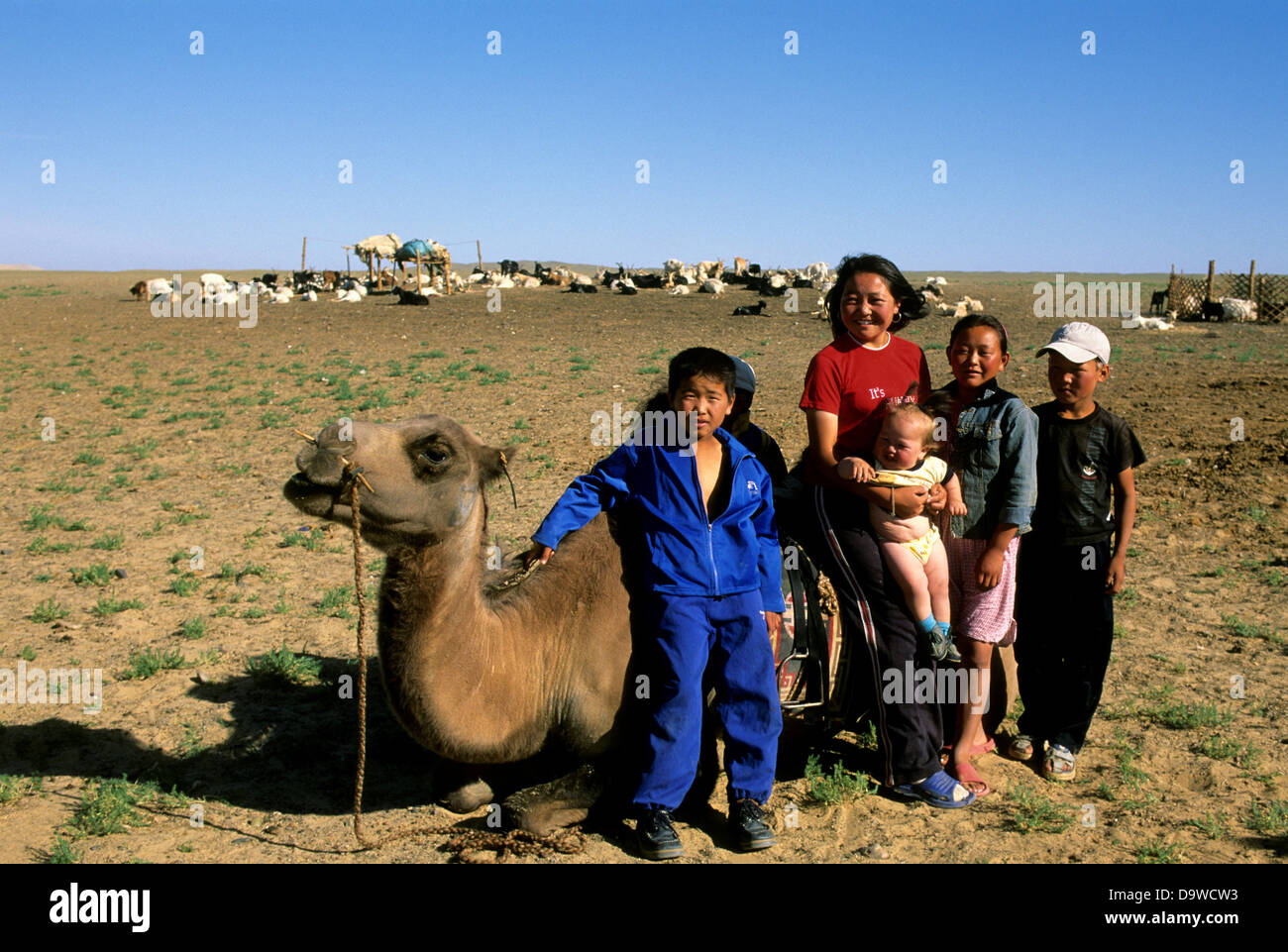 Mongolia, vicino Dalanzadgad, deserto dei Gobi a Khongoryn Els (dune di sabbia),Famiglia con Bactrian Camel Foto Stock