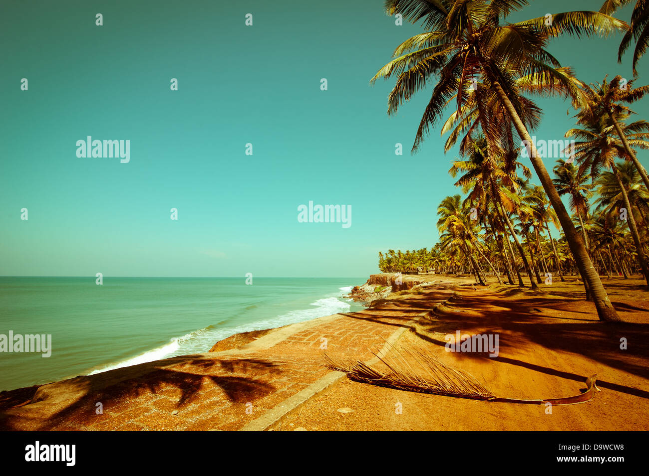 Bella giornata di sole in spiaggia tropicale con palme. Ocean paesaggio in stile vintage. India Foto Stock