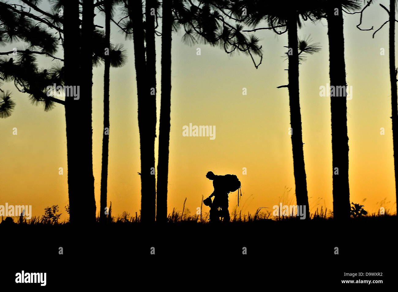 Un soldato americano con l'ottantaduesima Airborne Division si stagliano dal tramonto dopo il completamento di una strada marzo per poter beneficiare di un esperto Fantassin Badge Giugno 14, 2013 a Fort Bragg, NC. Foto Stock