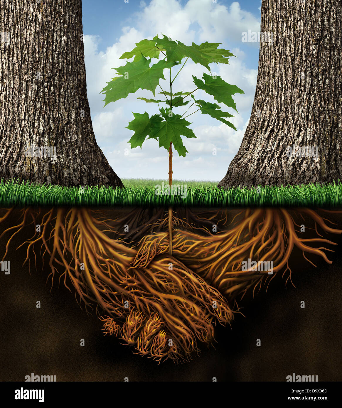 Sviluppo di nuove imprese il concetto di crescita con un gruppo di partner di due alberi che si riuniscono come radici di una pianta a forma di un accordo Foto Stock